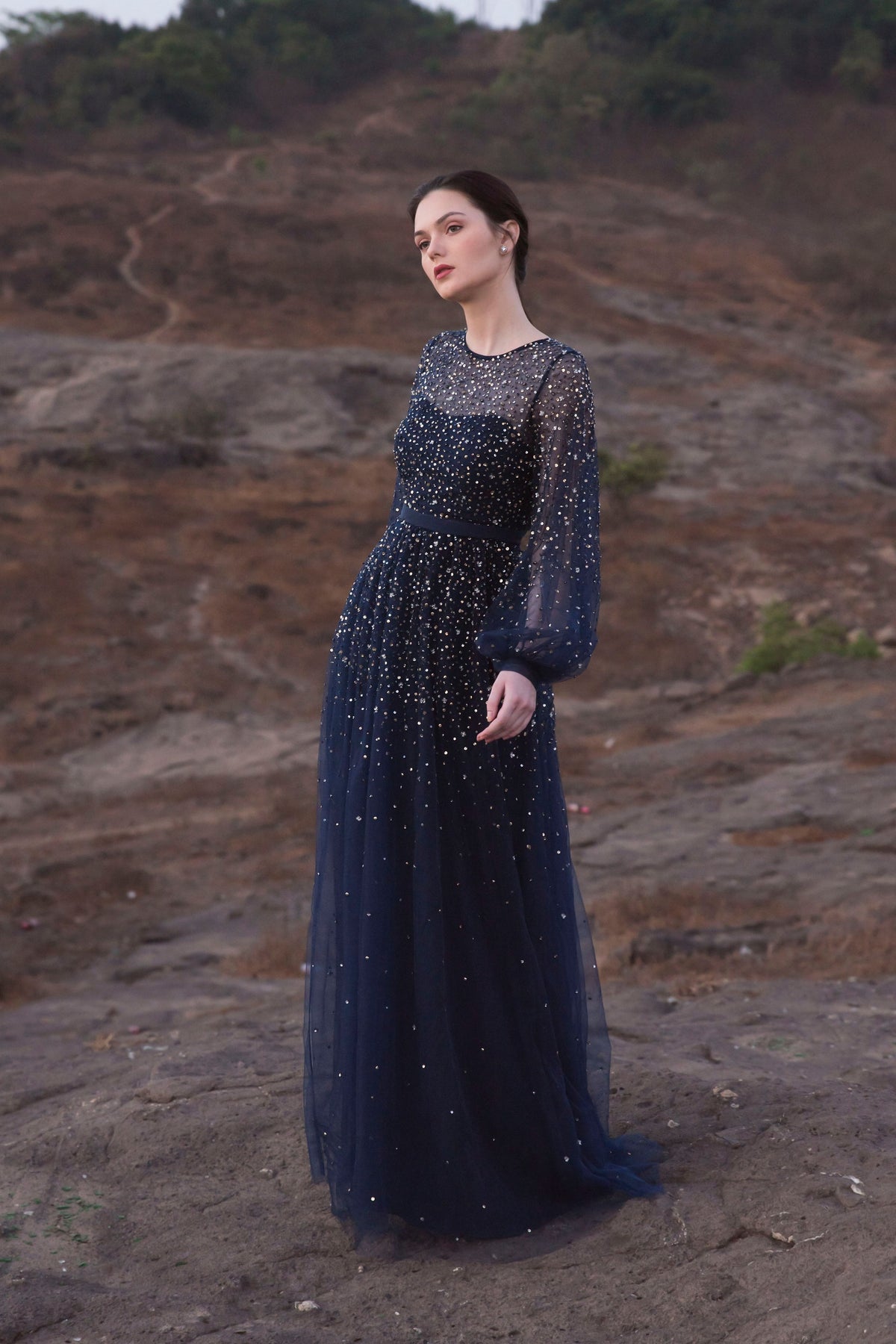 Navy Aster Gown