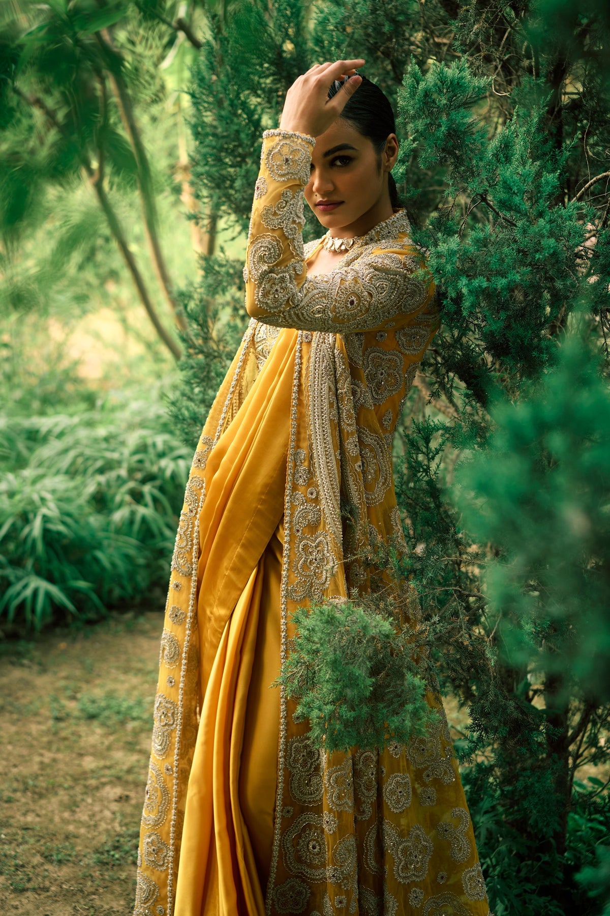 Mustard Saree and Jacket Set