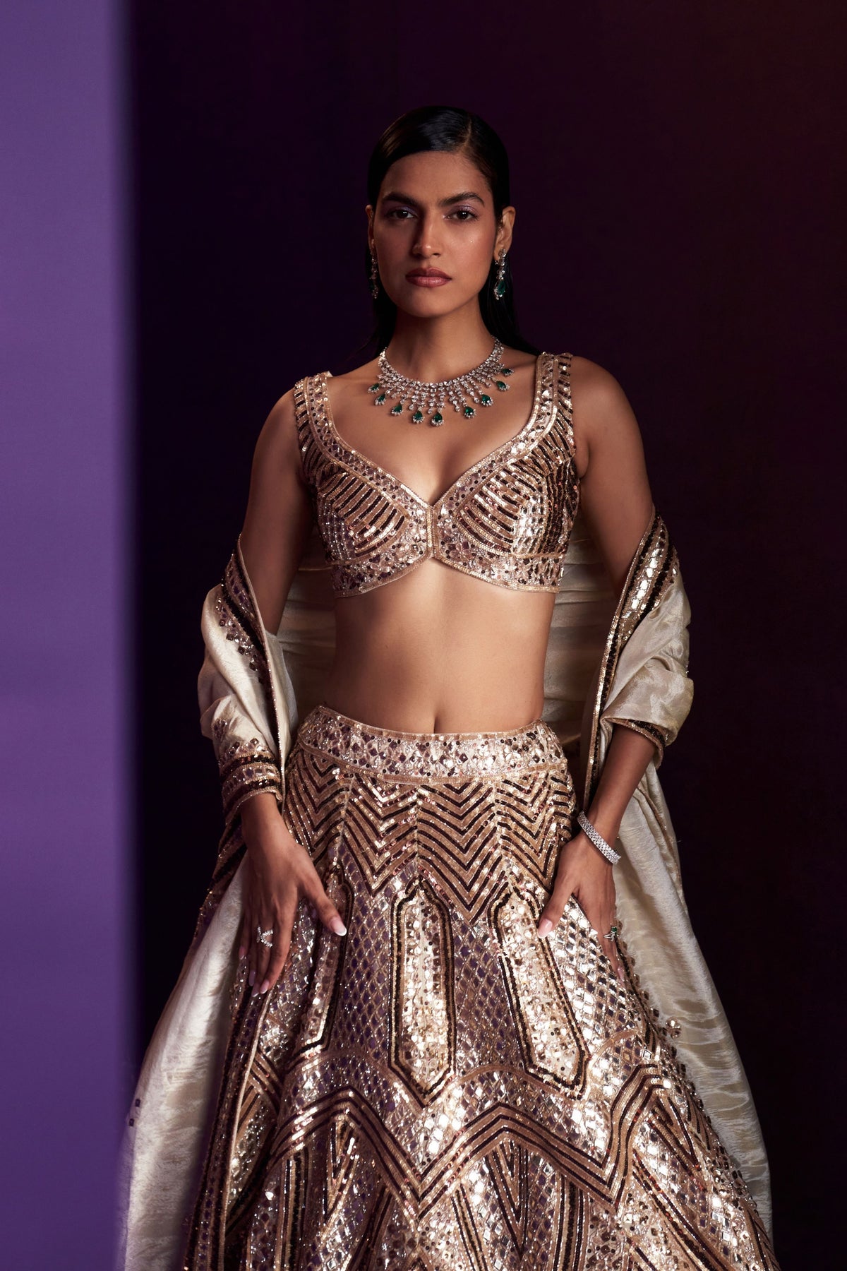 Gold Tissue Embroired Lehenga Set