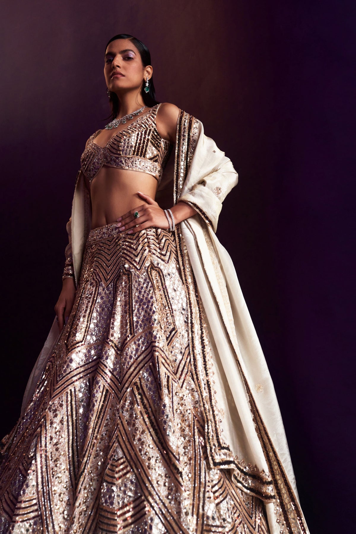 Gold Tissue Embroired Lehenga Set