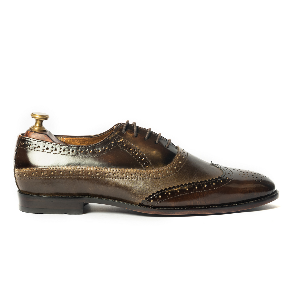 Invictus Brogue