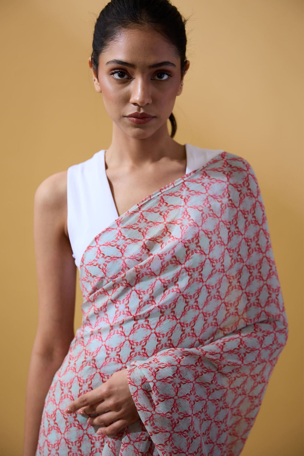 Powder Blue Lobster Saree