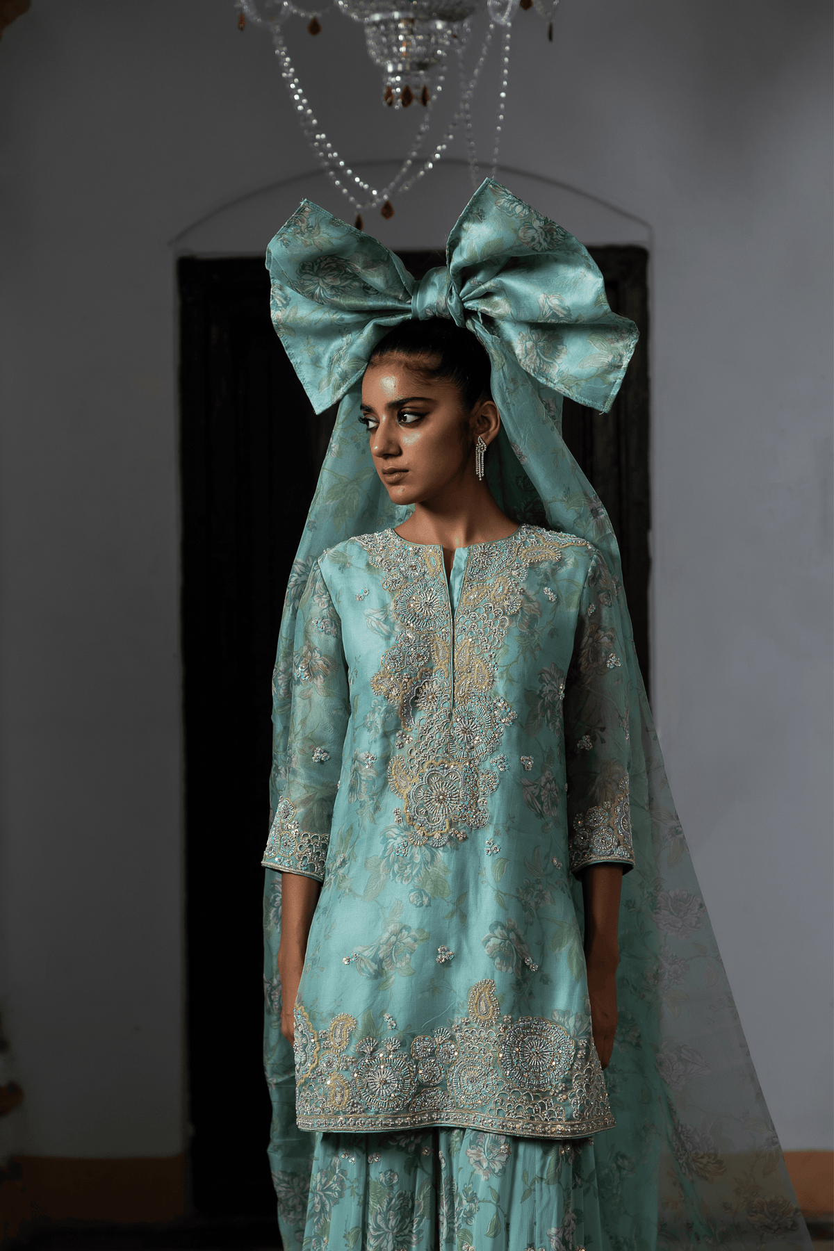 Organza Bliss Sharara Set