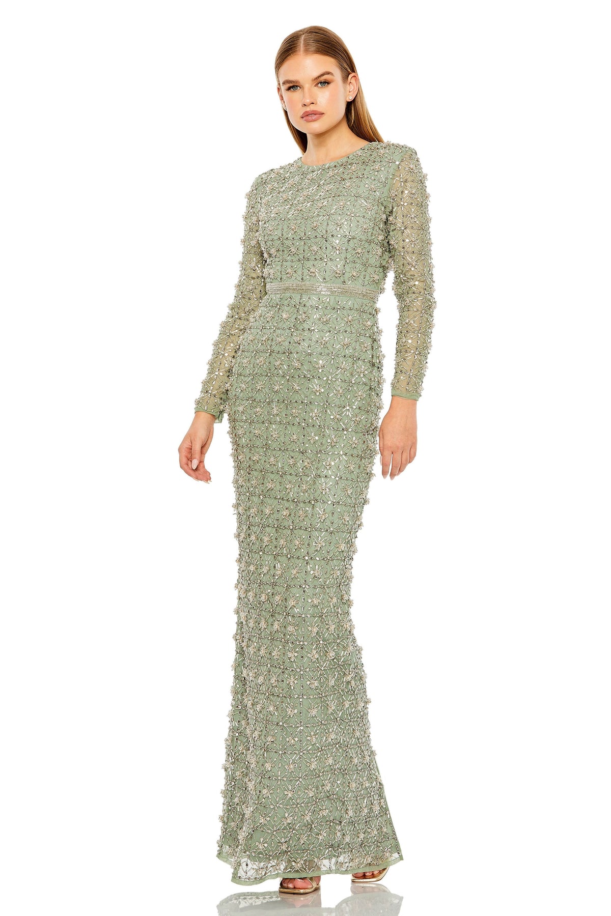 Sheer Unlined Sleeves Jade Gown