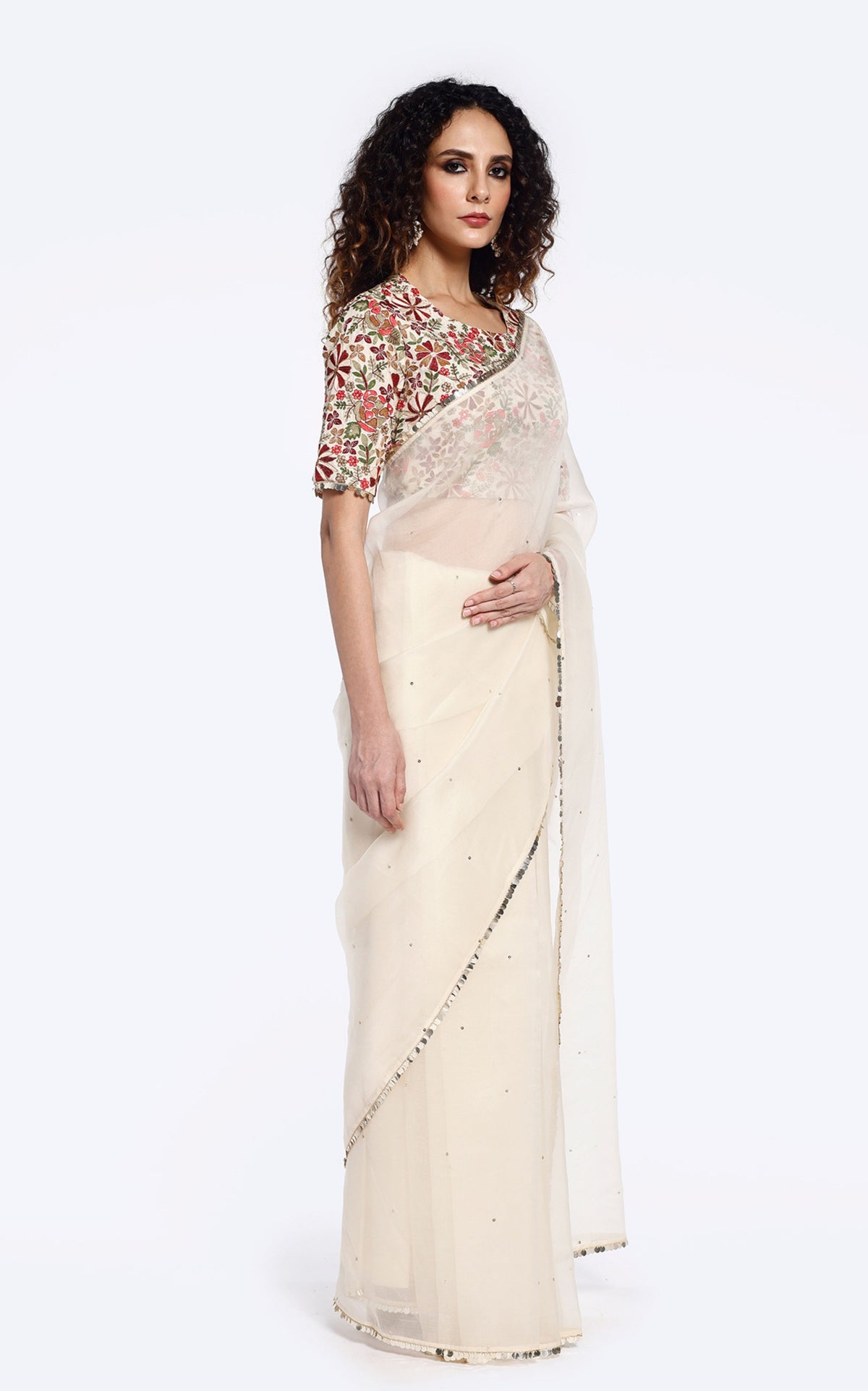 Arev Organza saree