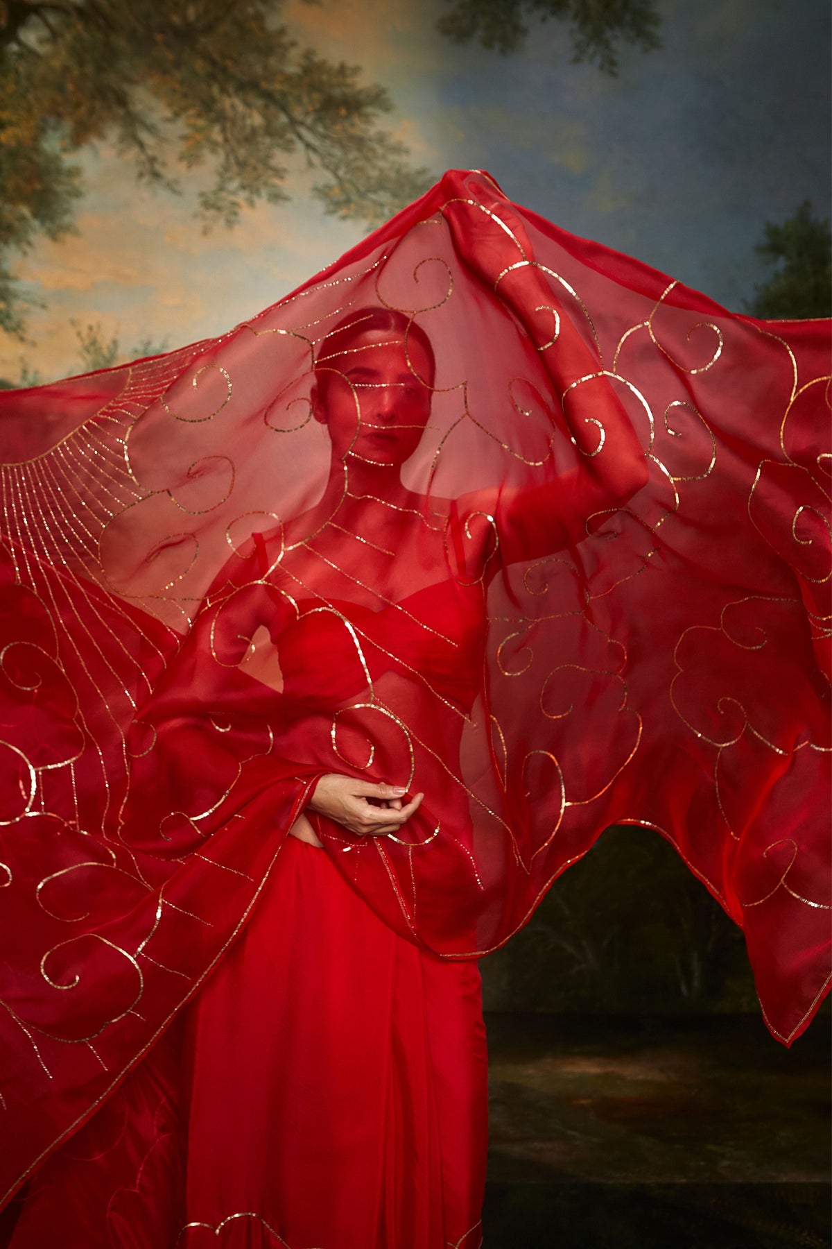 Cumulus Ruby Saree