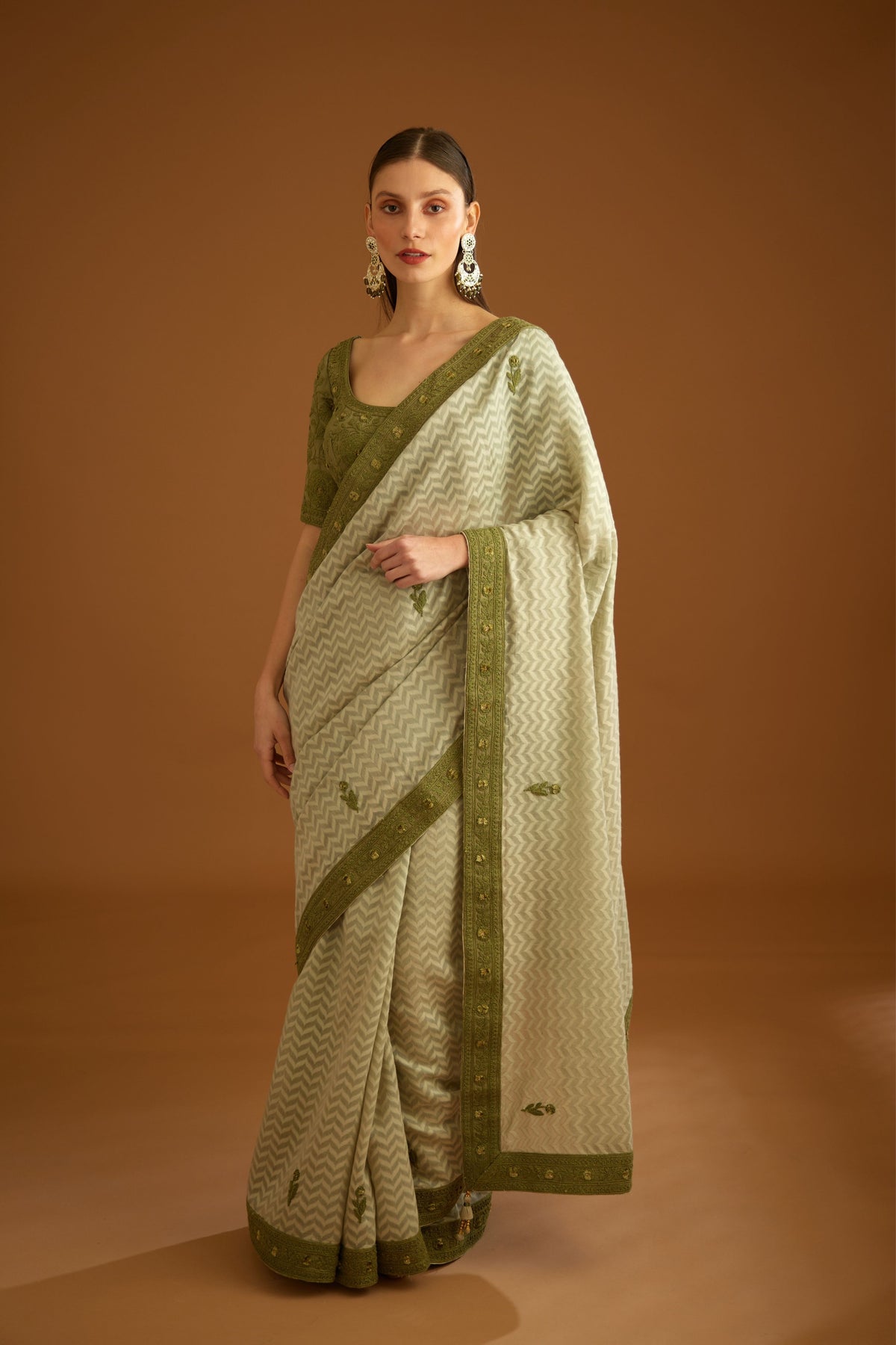 Garden green Saree set