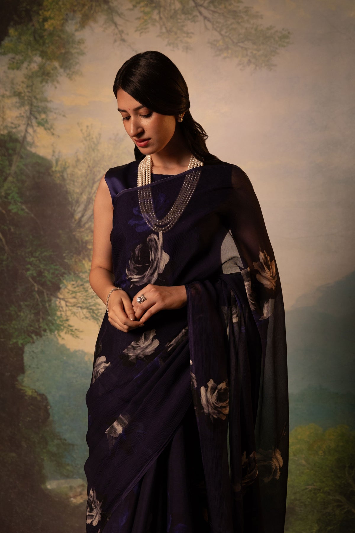 Regime Printed French Chiffon Saree