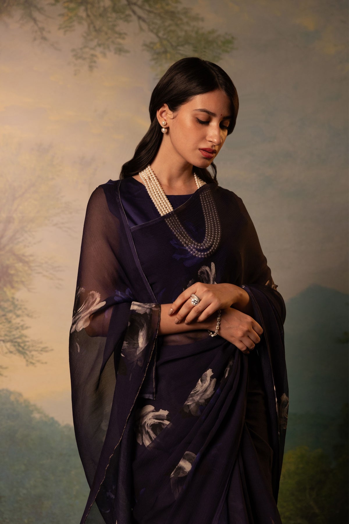 Regime Printed French Chiffon Saree