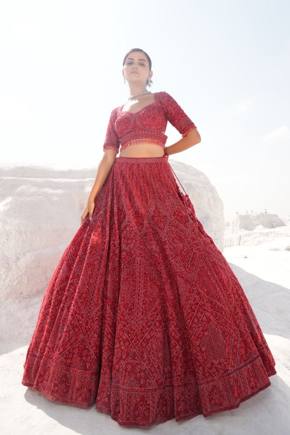 Red Embellished Lehenga Set