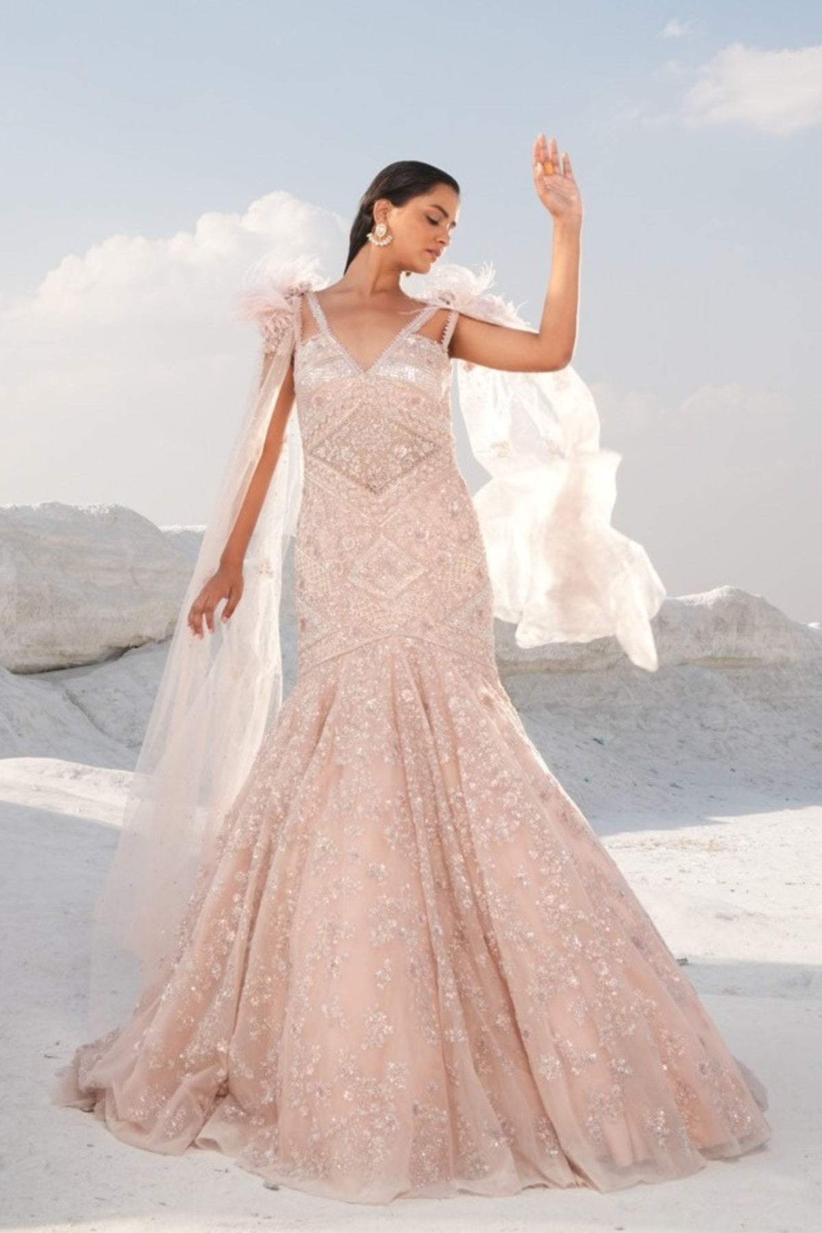 Pink Fish Cut Embellished Gown