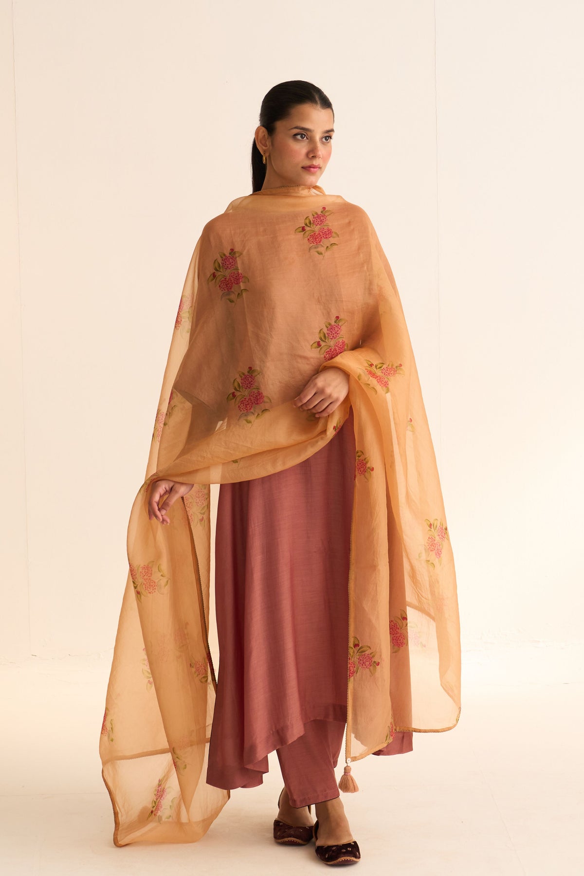 Evani Rust Organza Dupatta