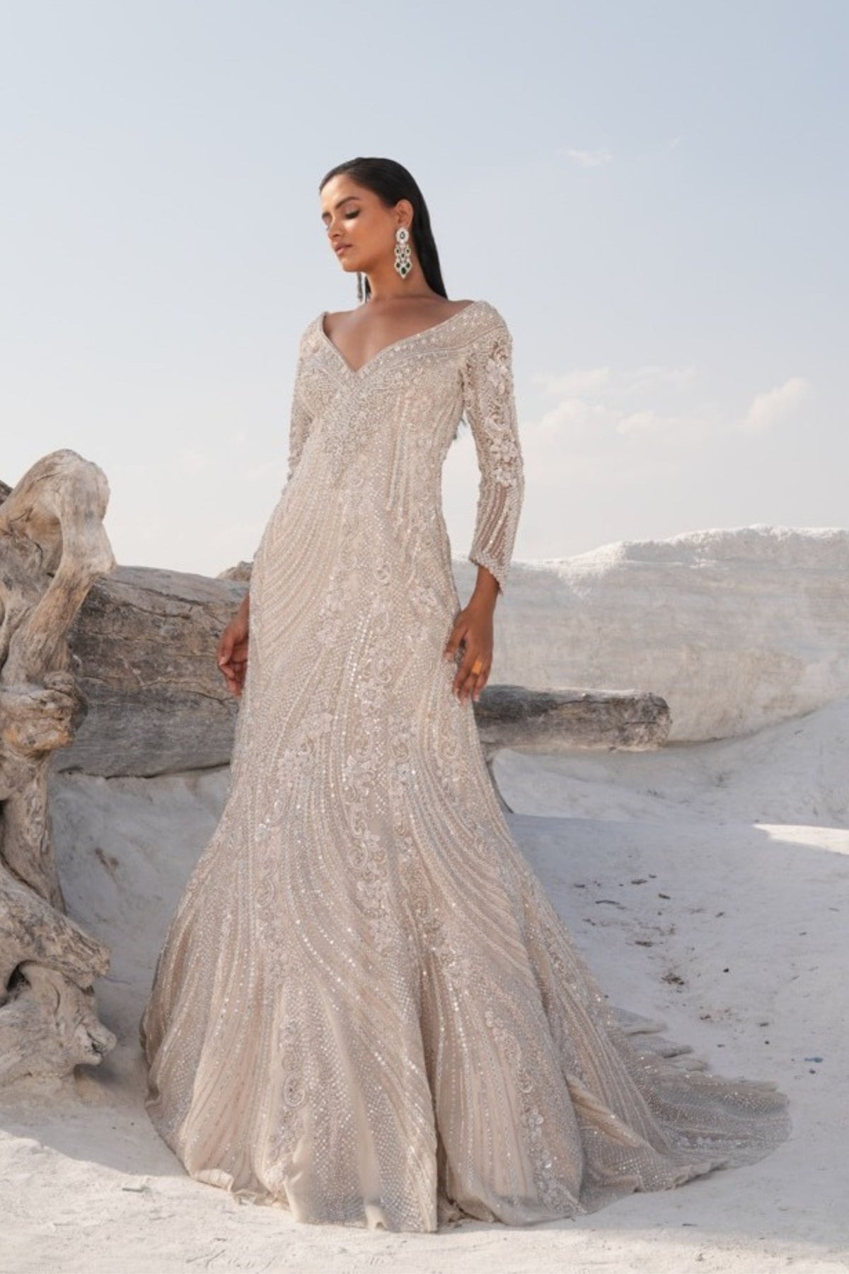 Ivory Fish Cut Embellished Gown