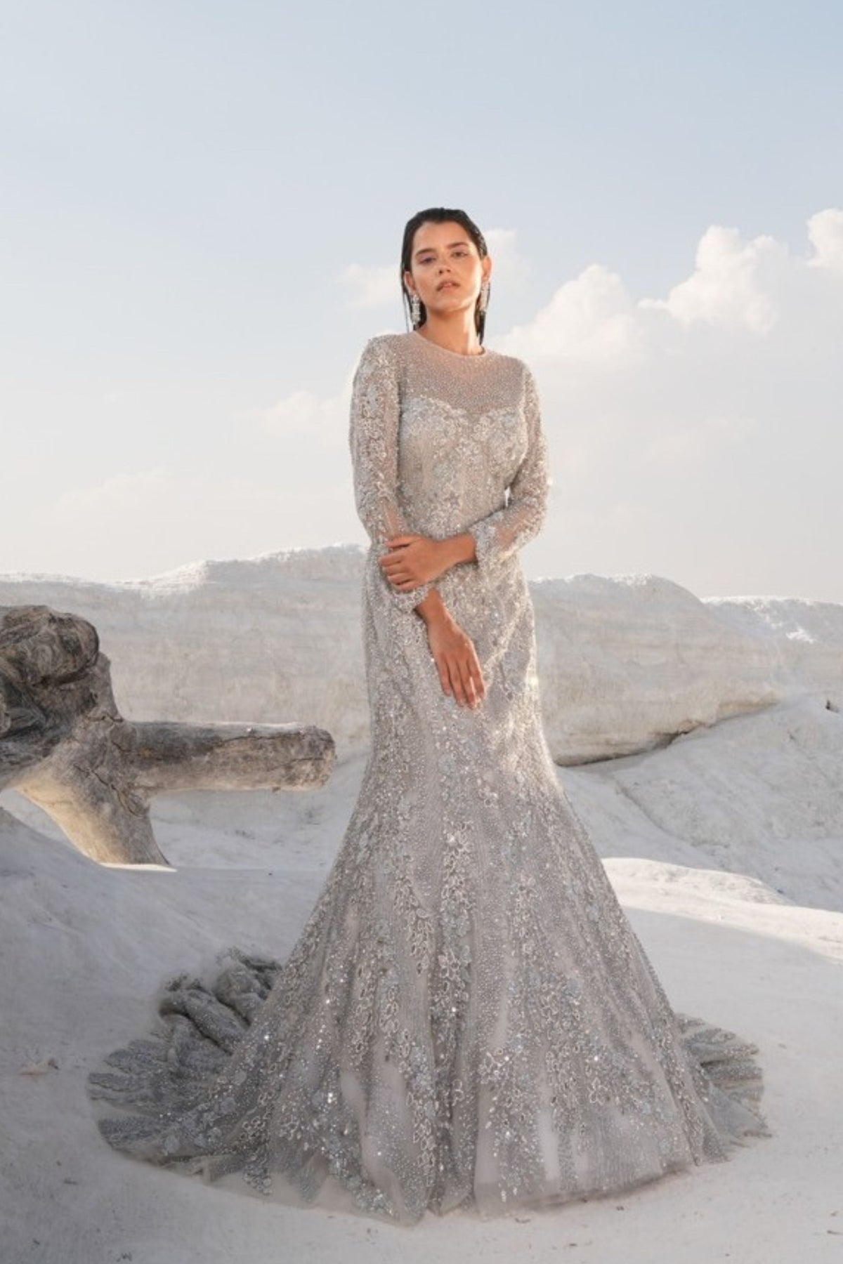 Silver Fish Cut Embellished Gown