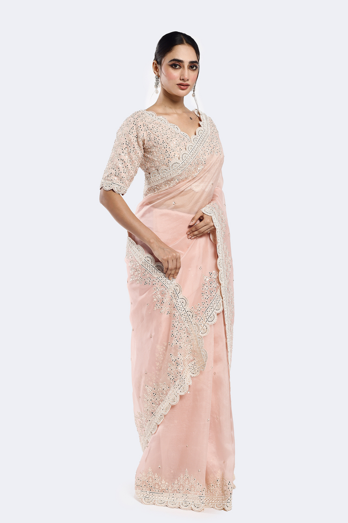 Sequinned Organza saree