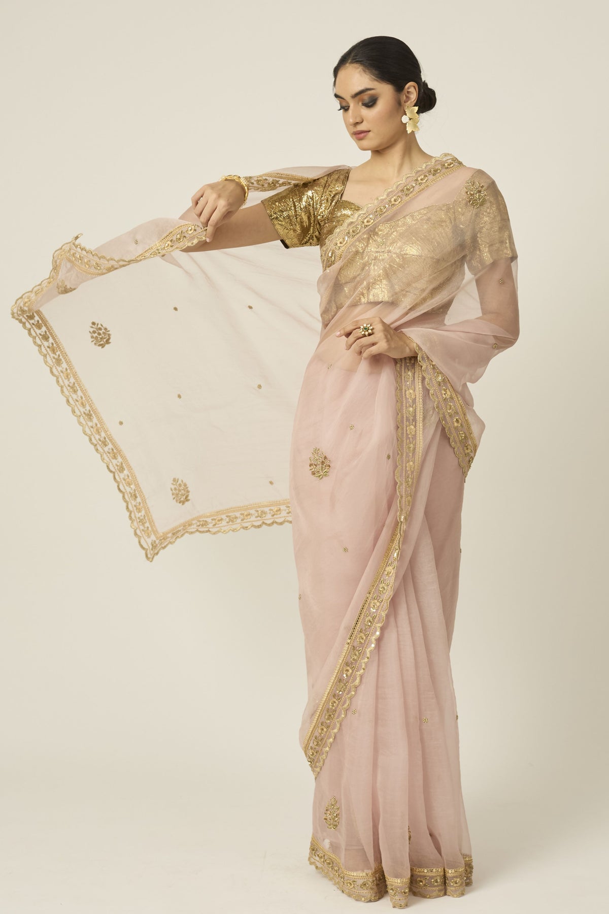 Mastani Silk Organza Saree