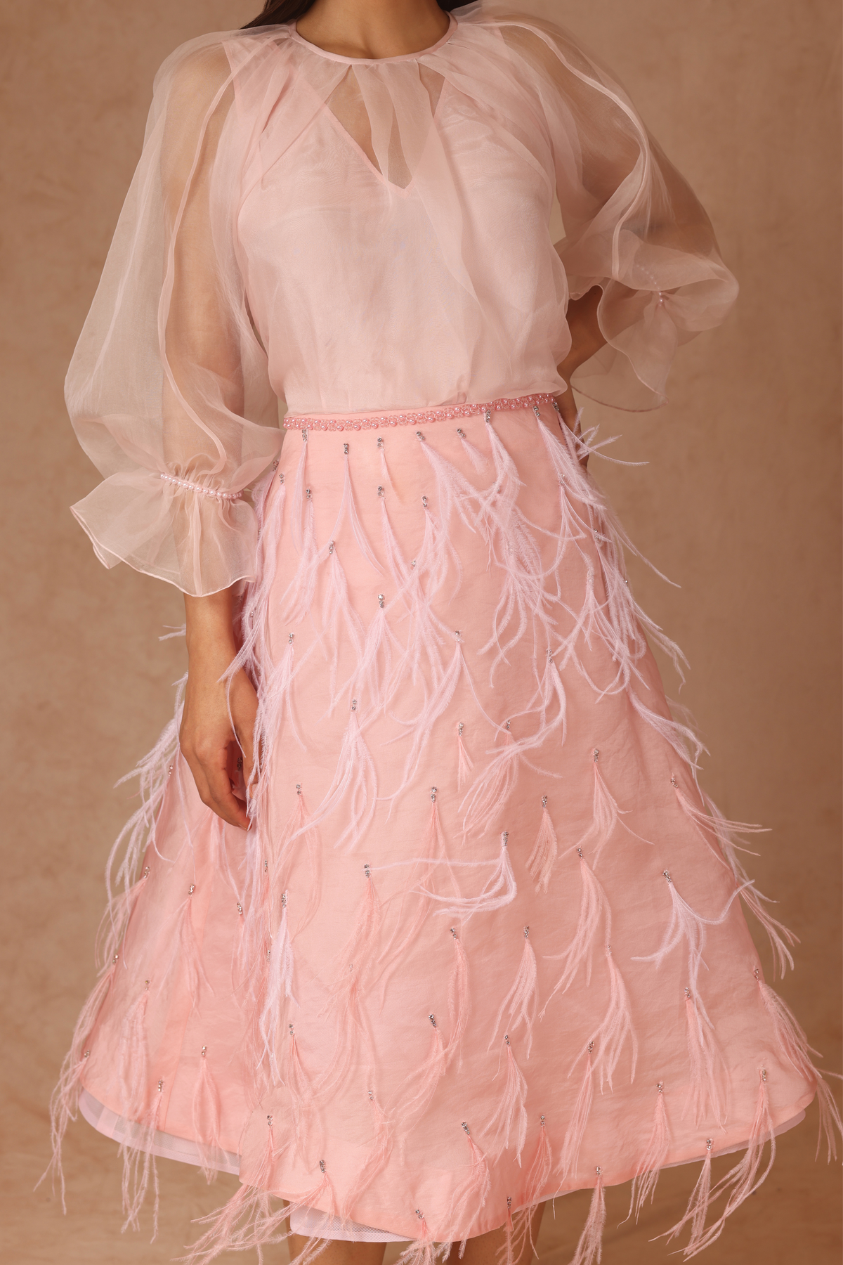 Dusty Pink Feather Skirt and Organza Top