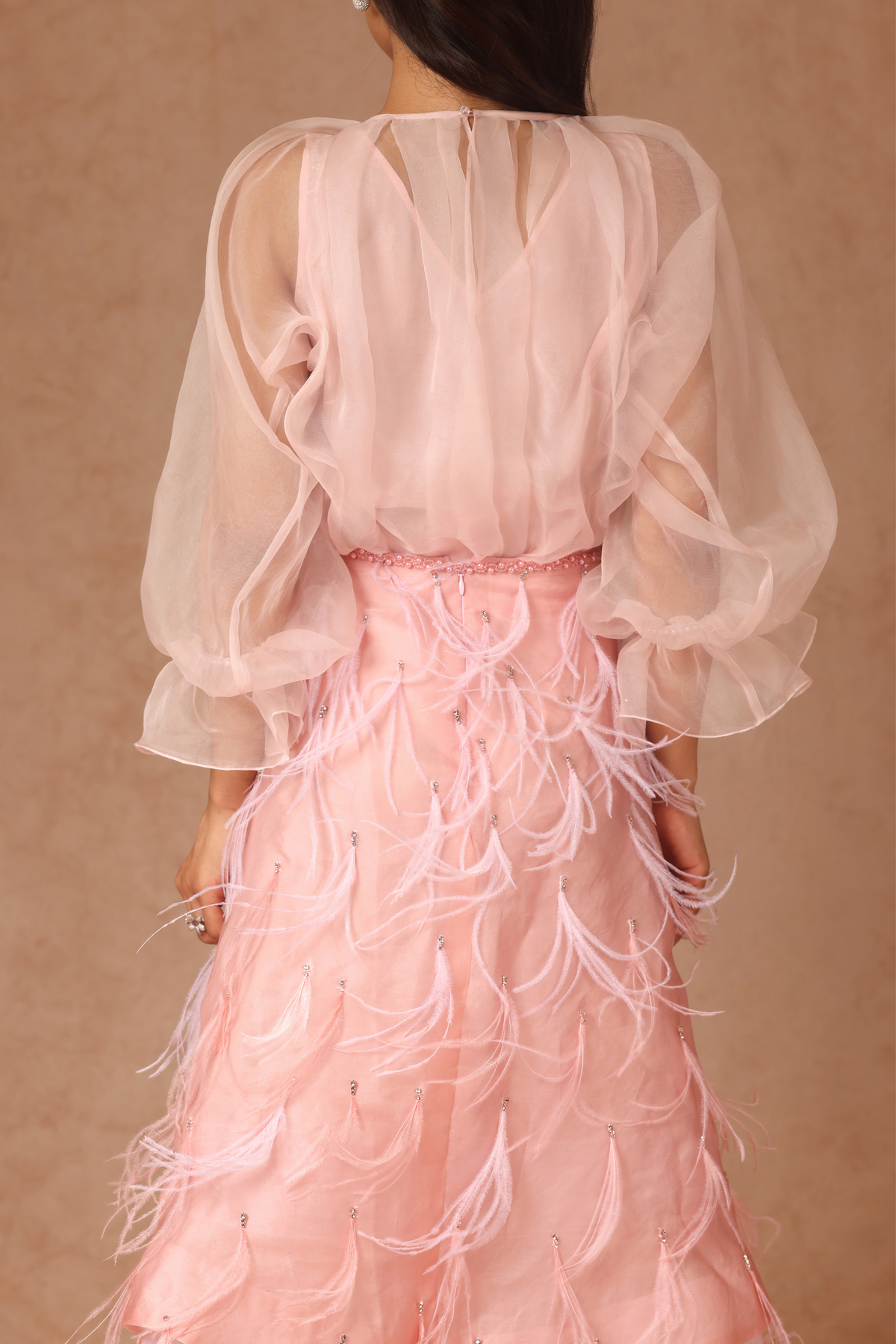 Dusty Pink Feather Skirt and Organza Top