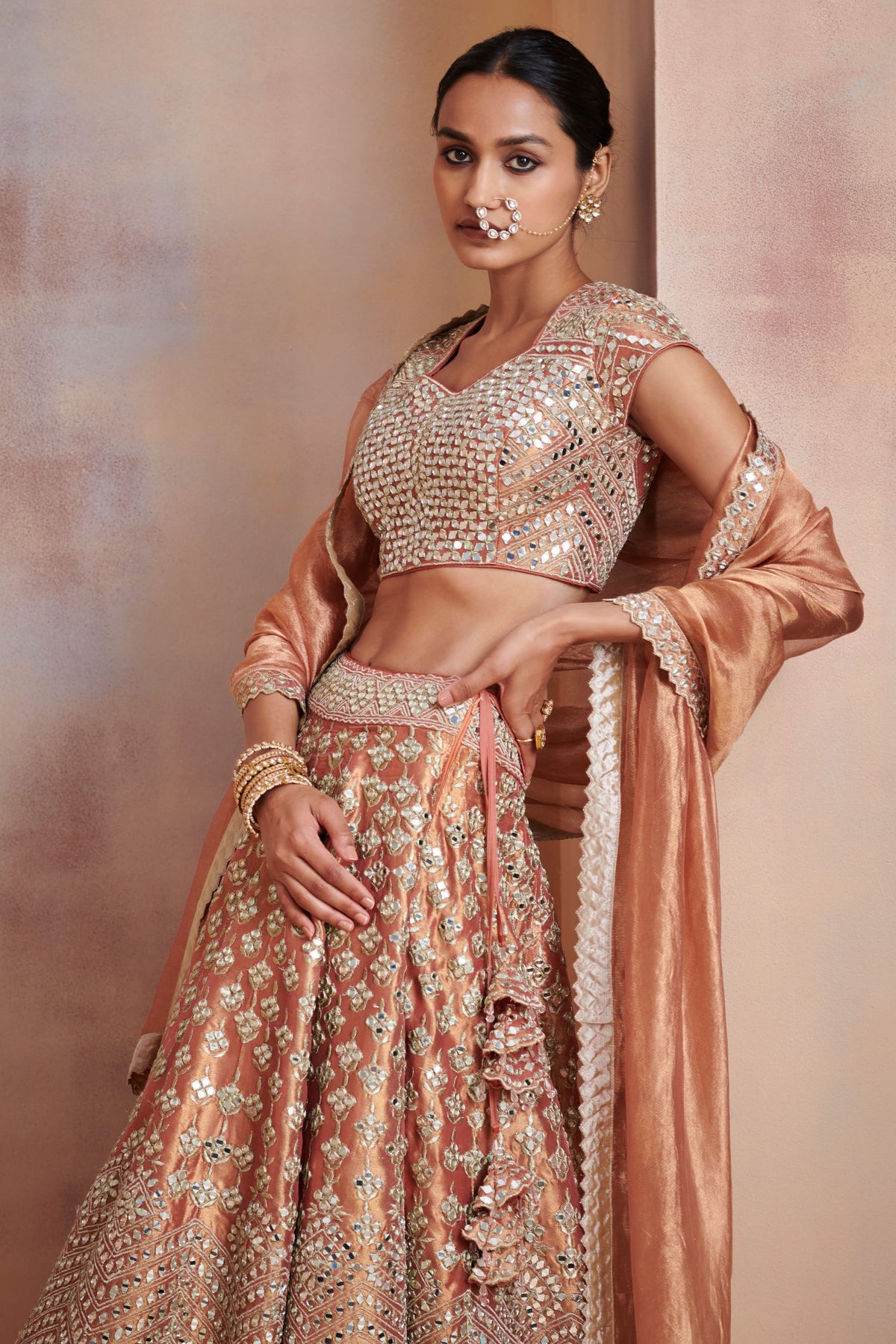 Rust tissue lehenga set