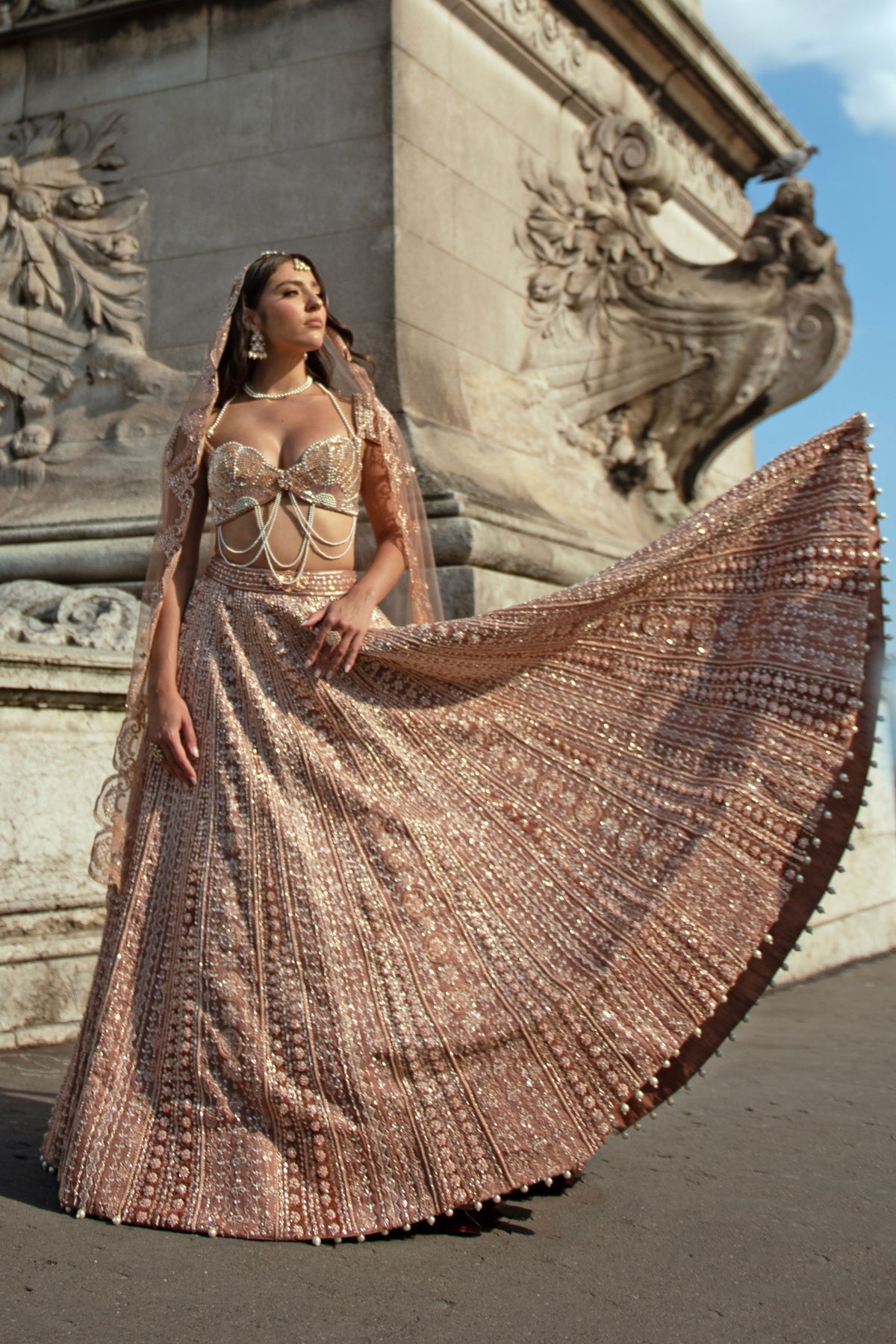 Brown Lehenga Set