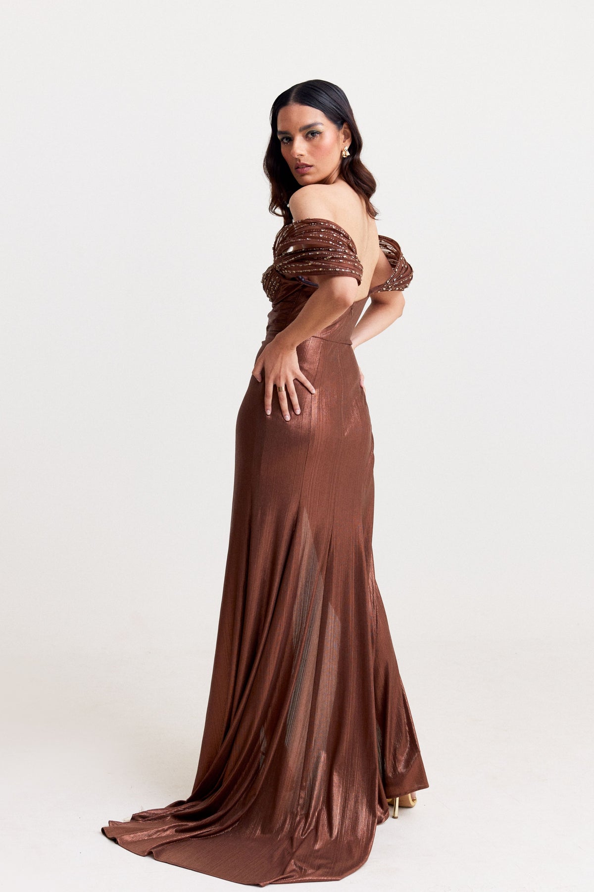 Metallic Brown Dress