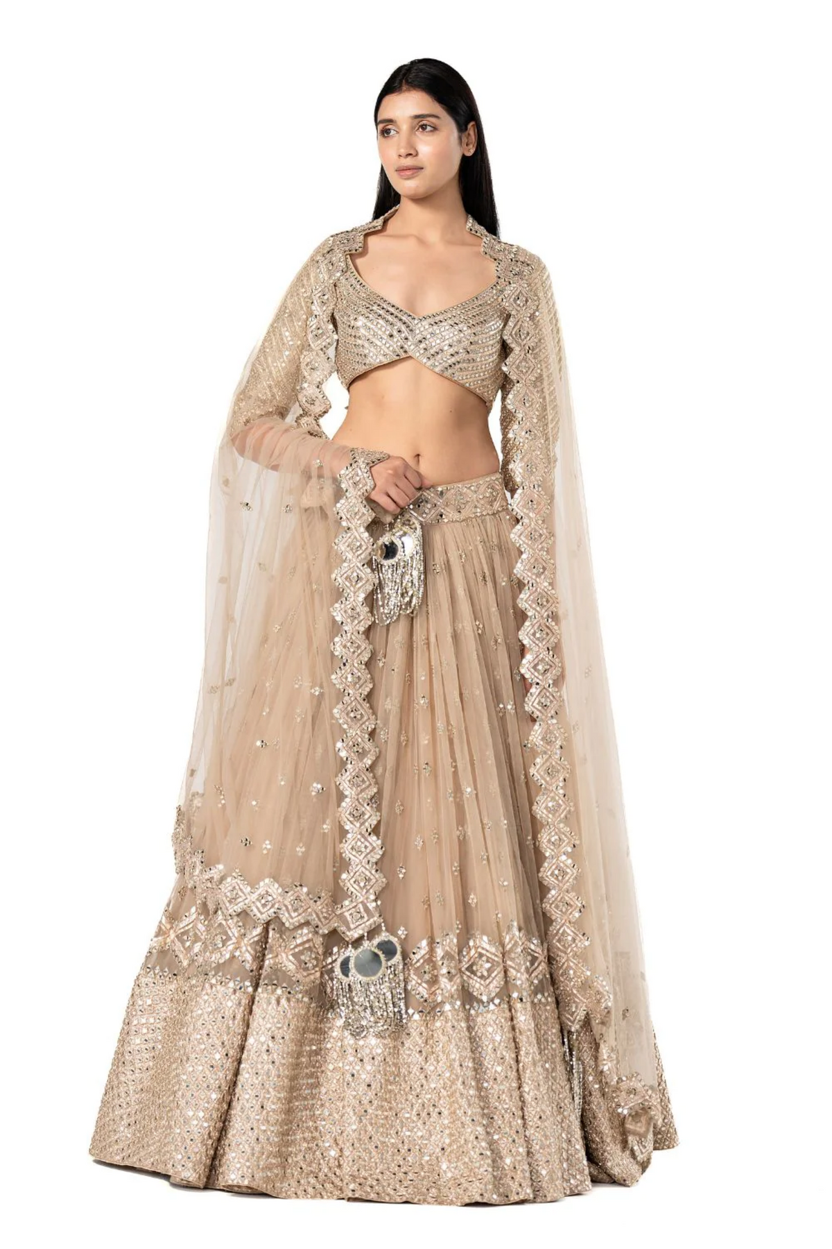 Gold Embellished Lehenga Set