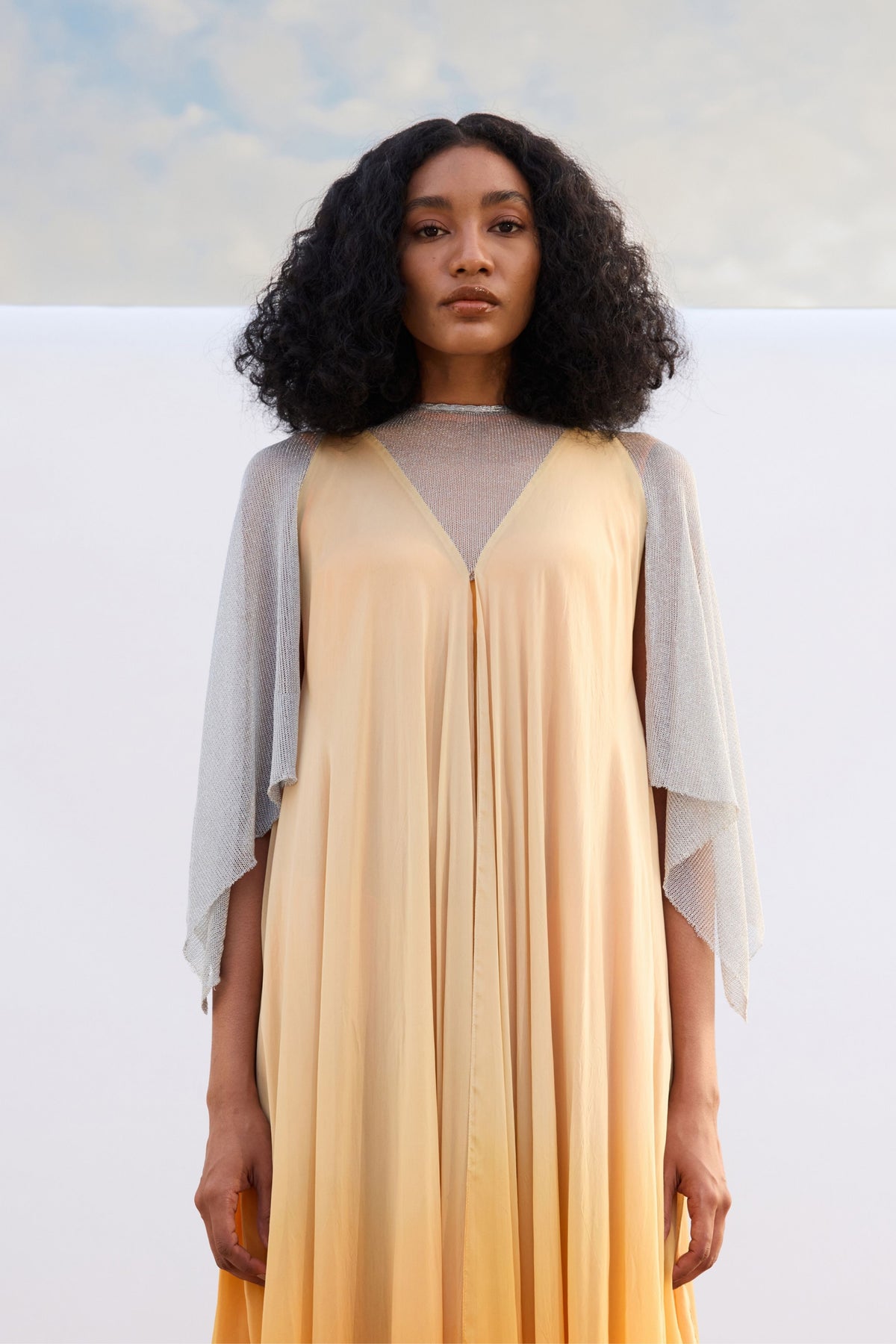 Chiffon &amp; Mesh Kaftan Dress