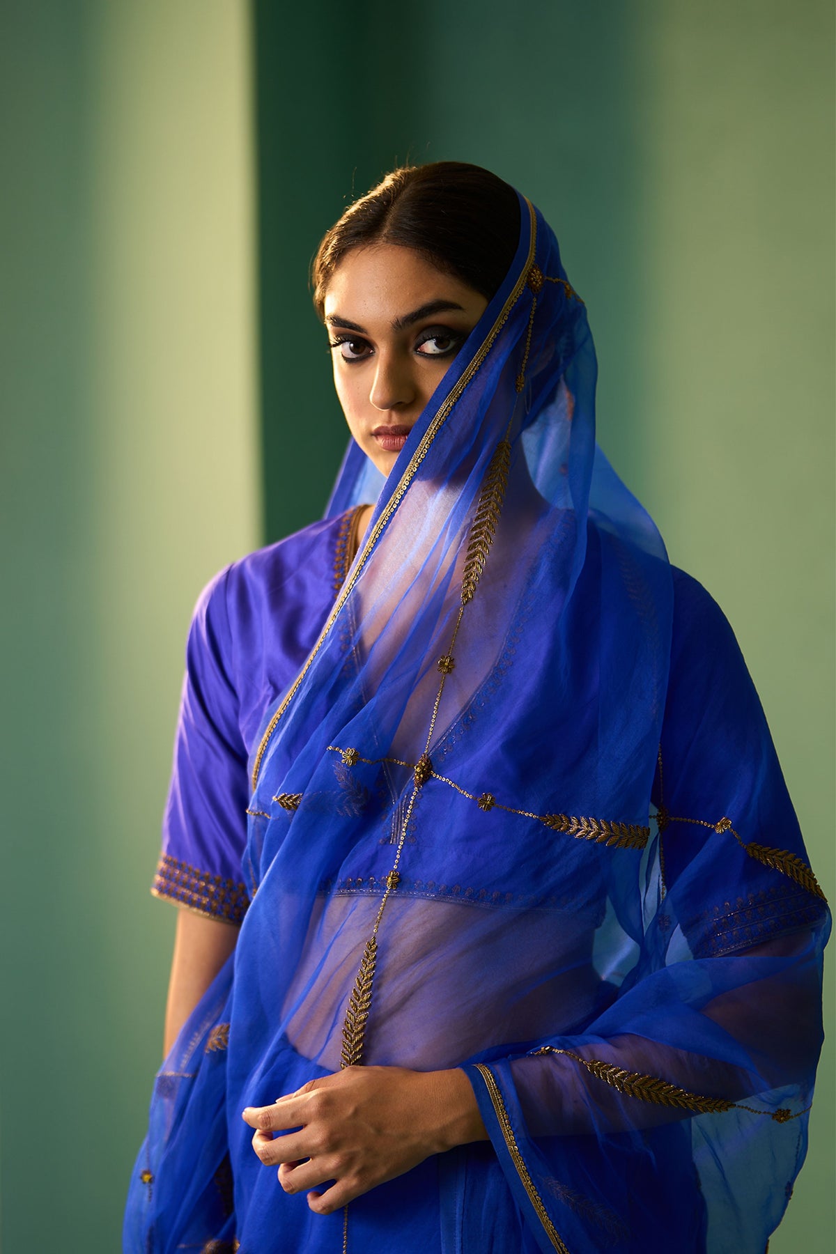 Electric Blue Sabaa Saree