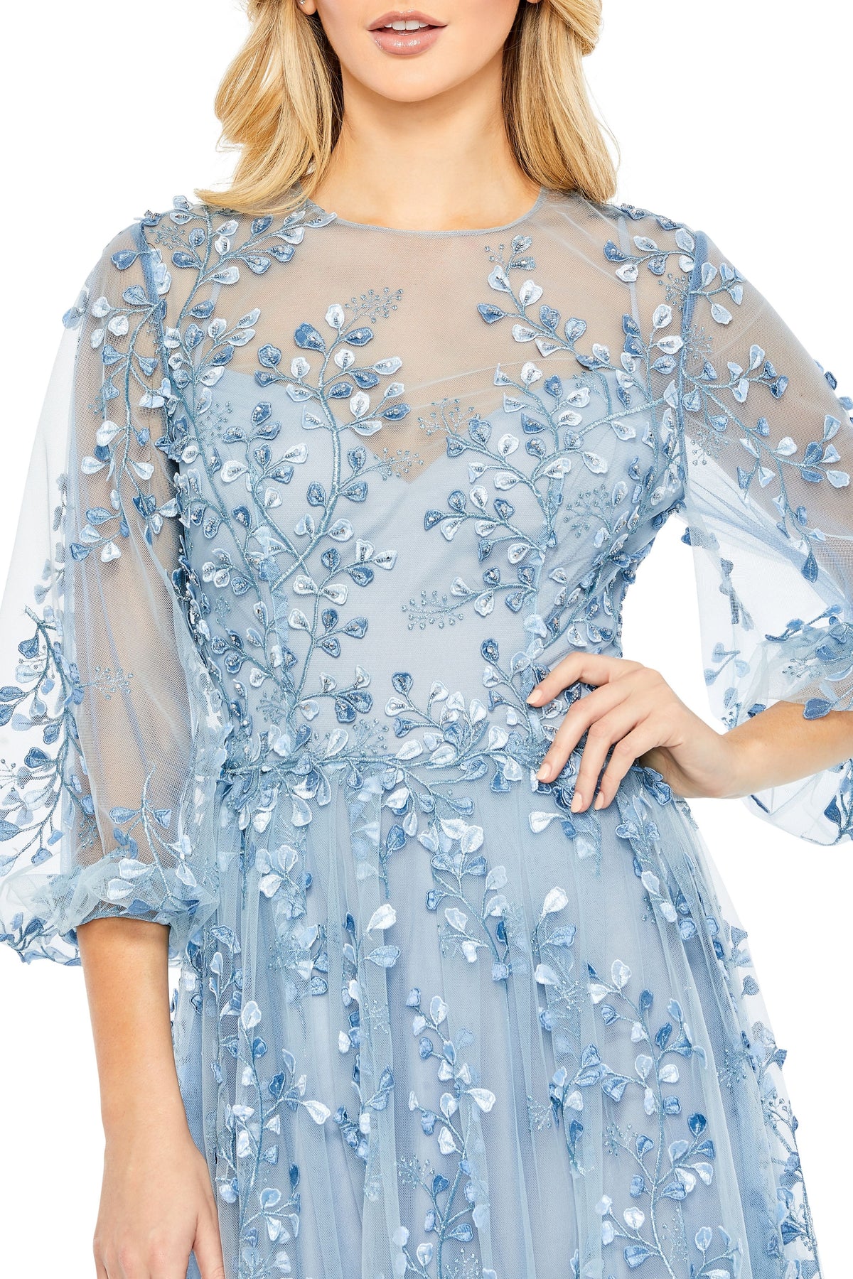 Semi Sheer Puff Sleeves Gown