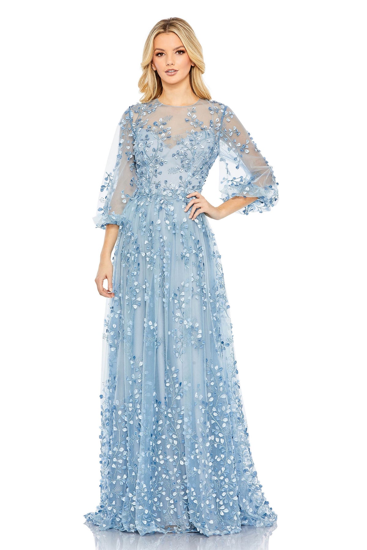 Semi Sheer Puff Sleeves Gown