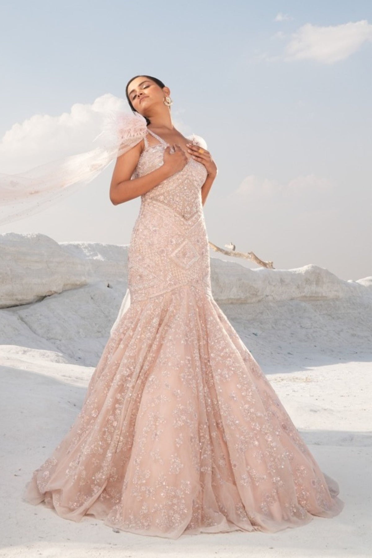 Pink Fish Cut Embellished Gown