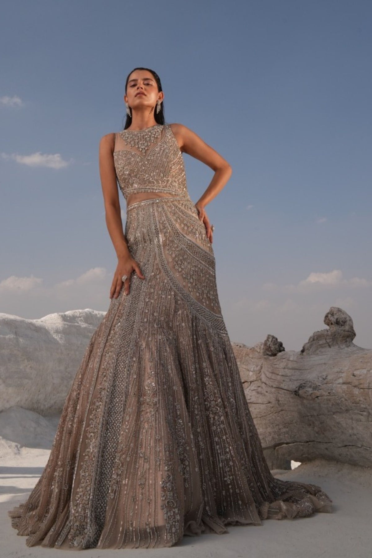 Gold Fish Cut Embellished Gown