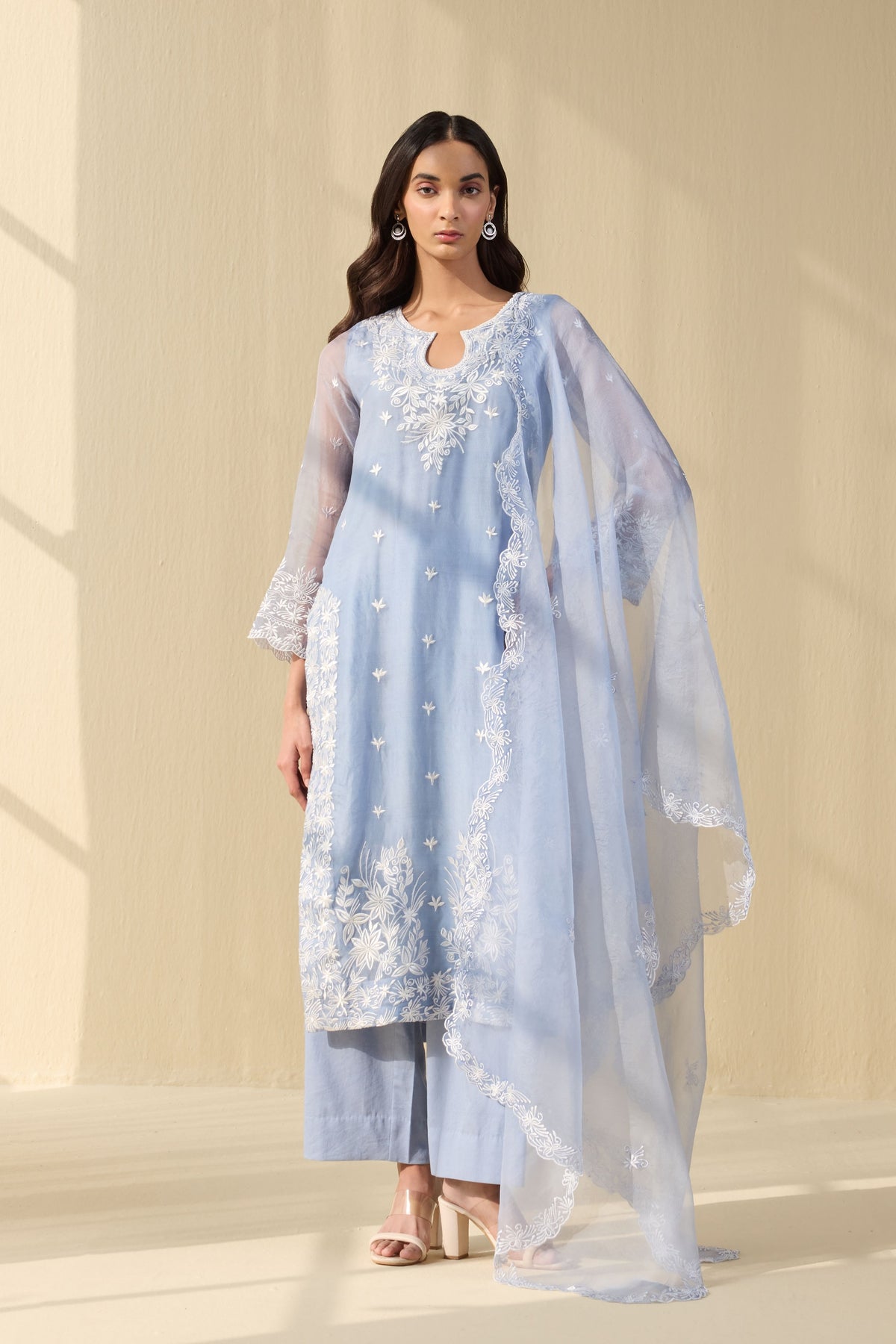 Powder blue  Embroidered Organza Suit