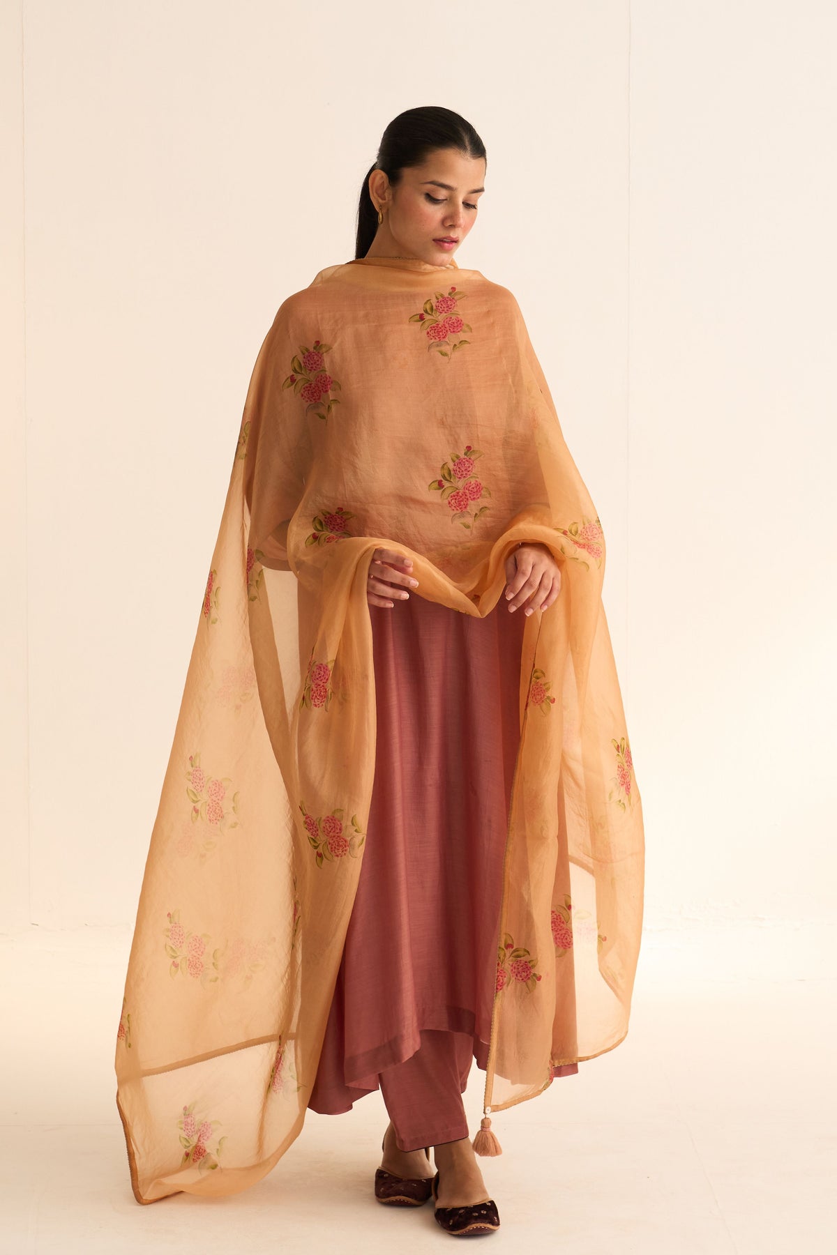 Evani Rust Organza Dupatta