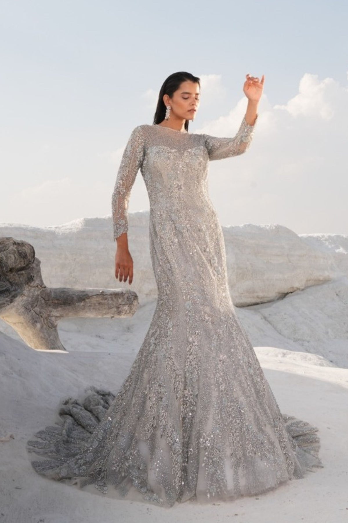 Silver Fish Cut Embellished Gown