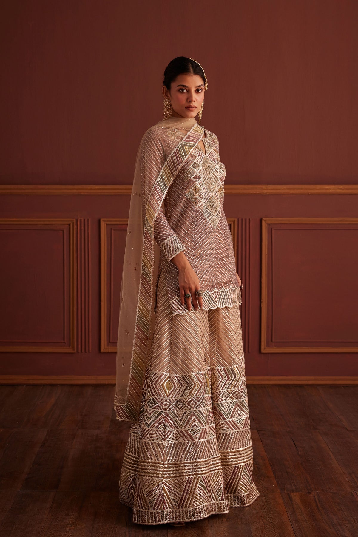 Multi-colored Cutdana Embellished Sharara