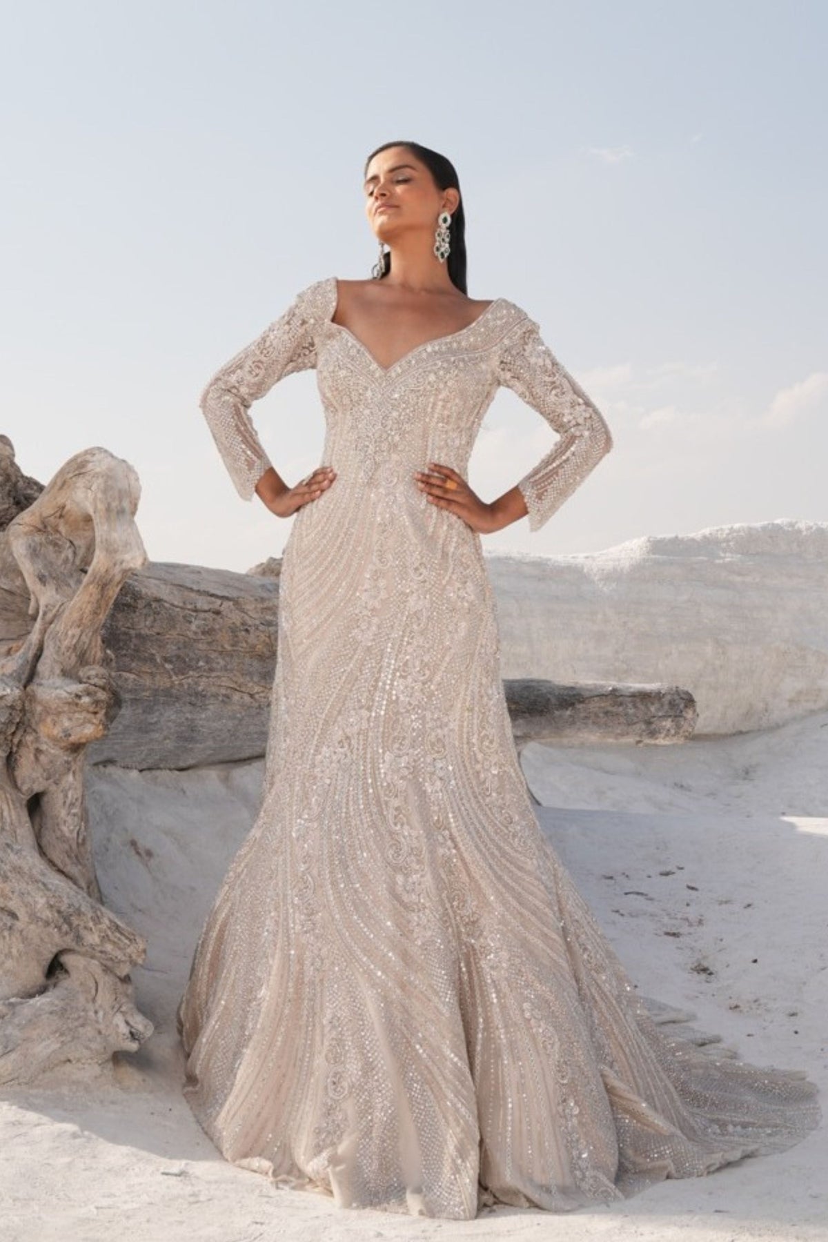 Ivory Fish Cut Embellished Gown