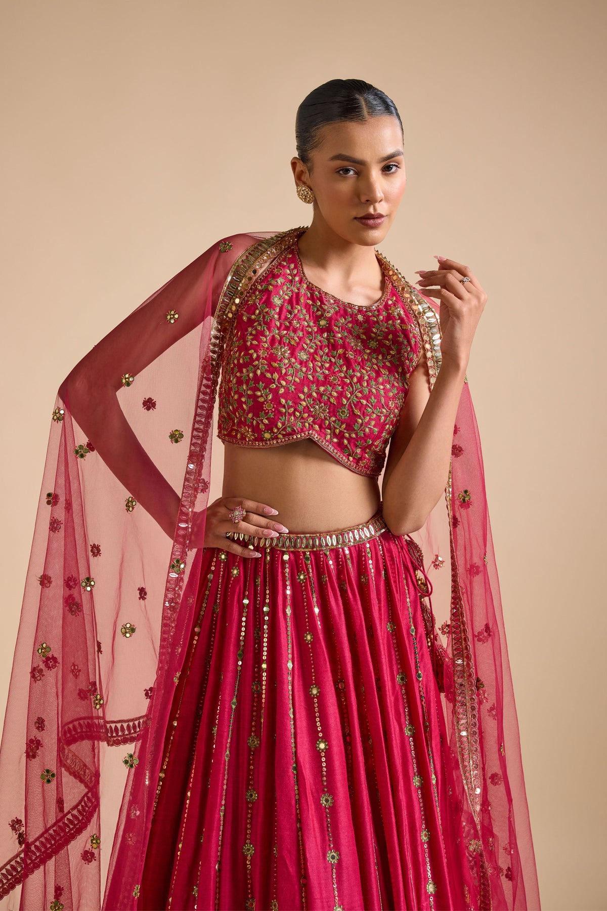 Rani Pink Lehenga Set