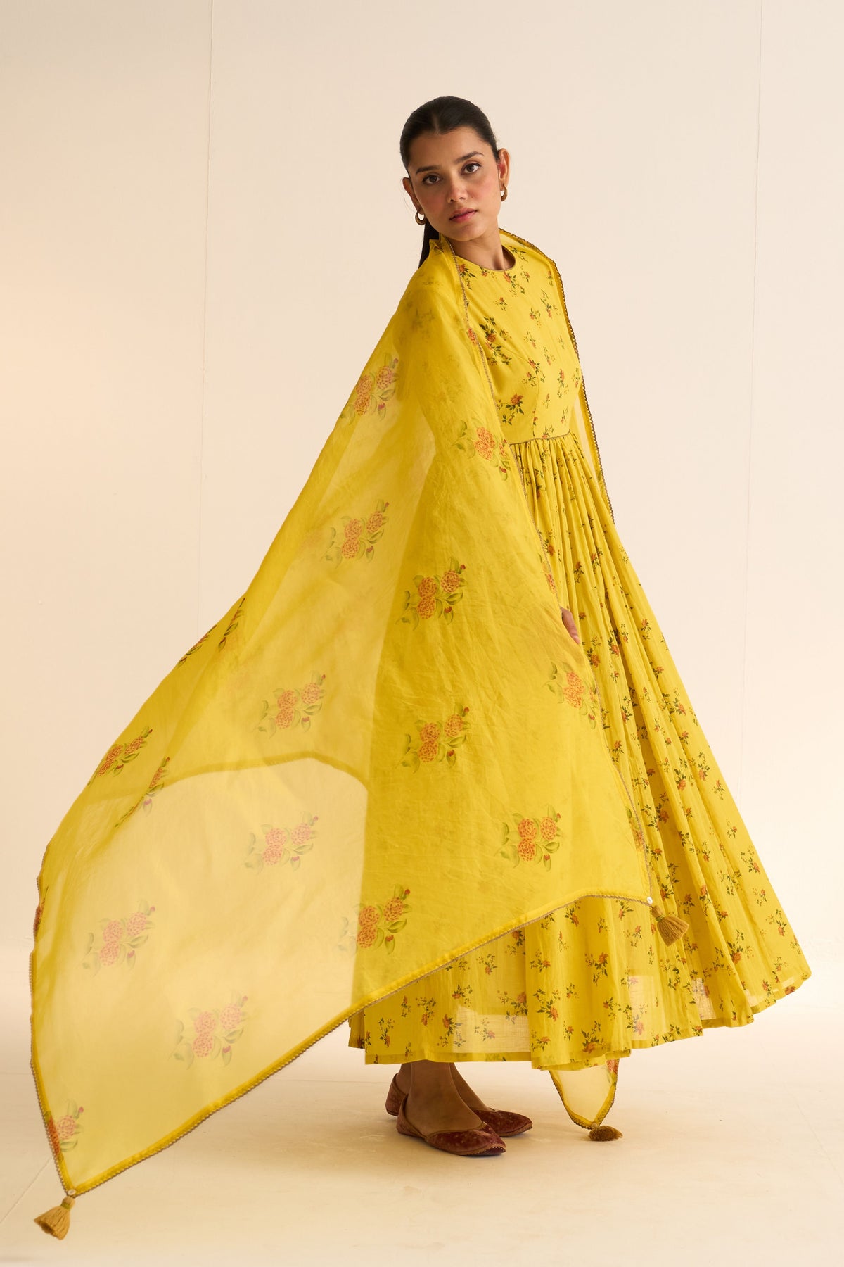 Evani Yellow Organza Dupatta