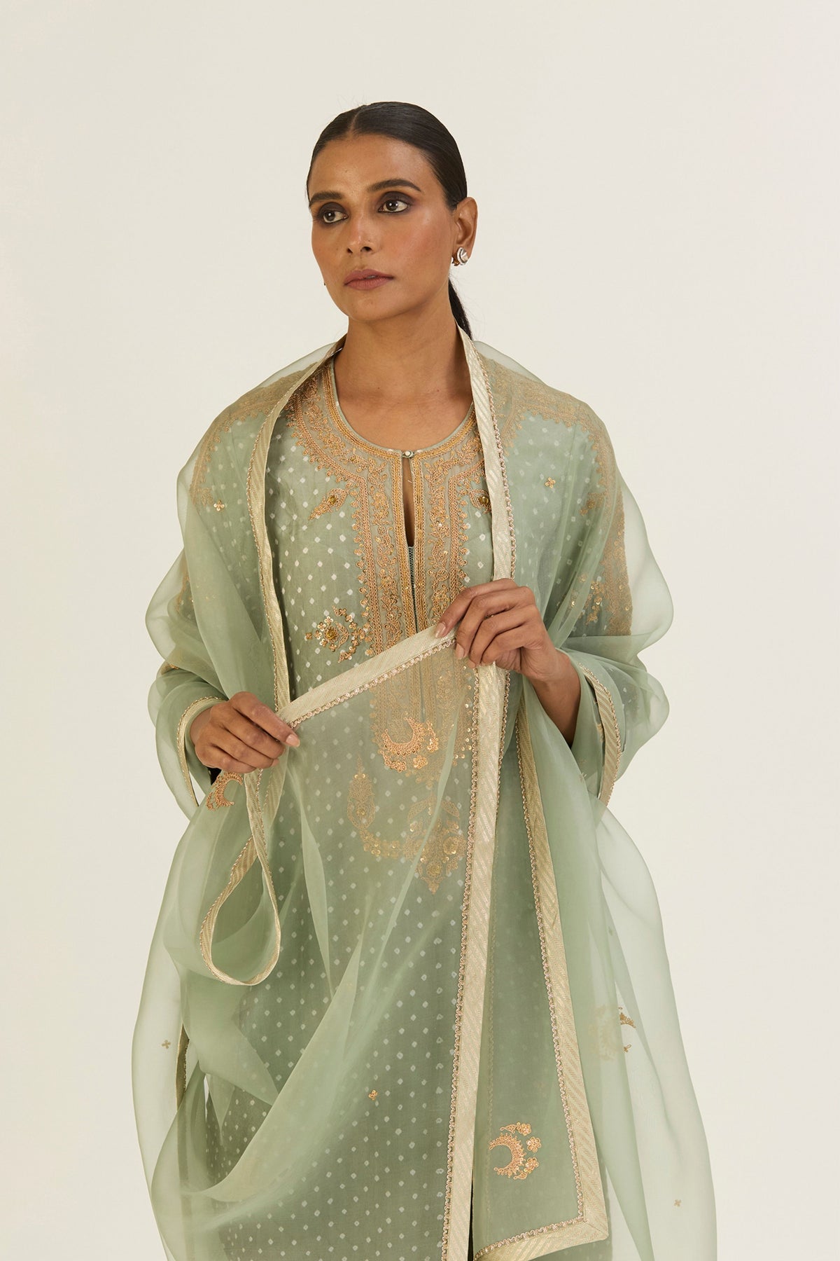 Advika Organza Dupatta