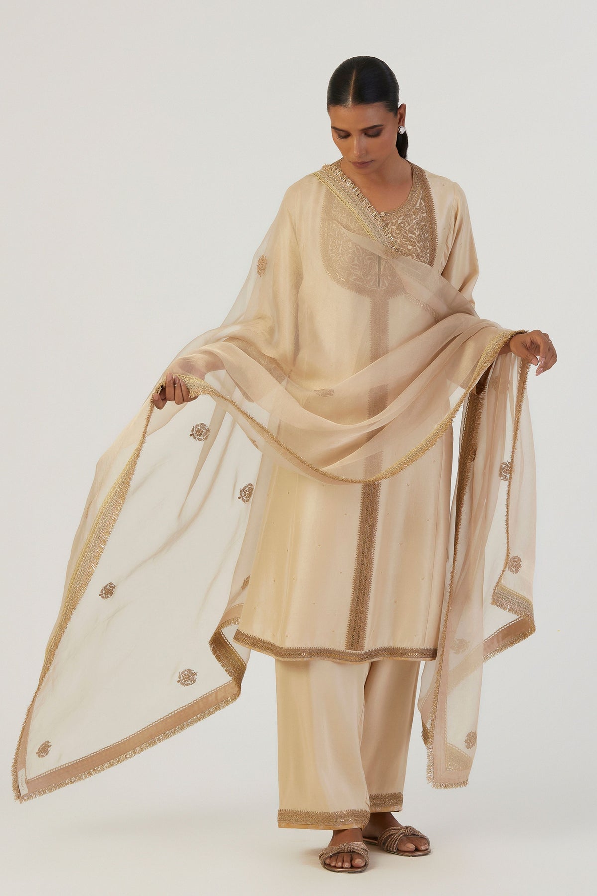 Raga Organza Dupatta