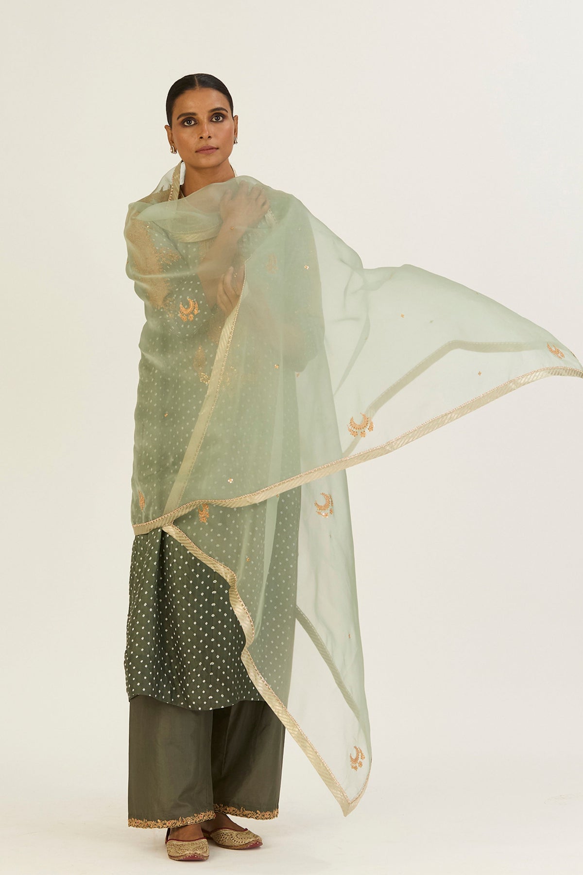 Advika Organza Dupatta