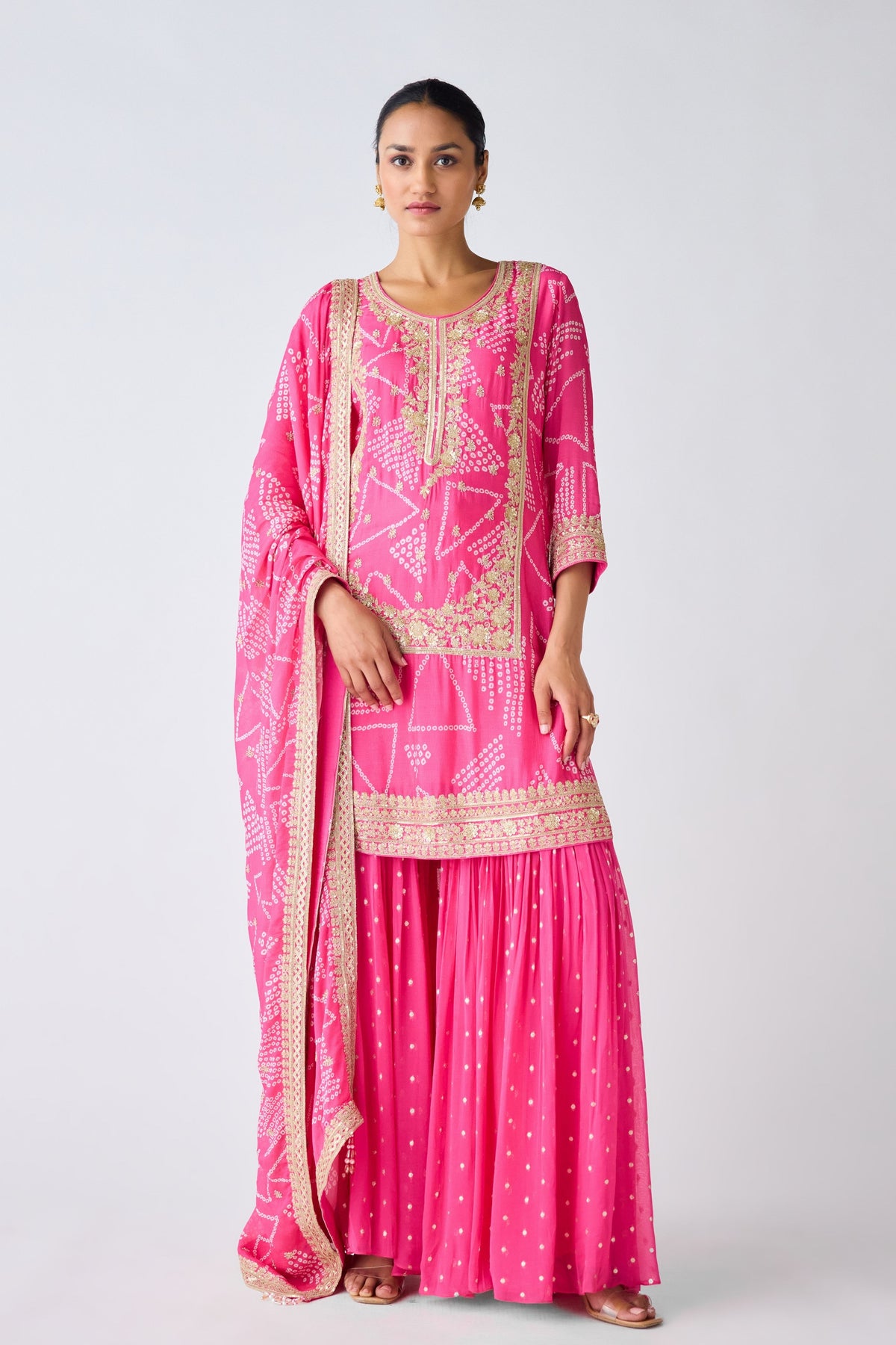 Rani Pink Embroidered Sharara Set