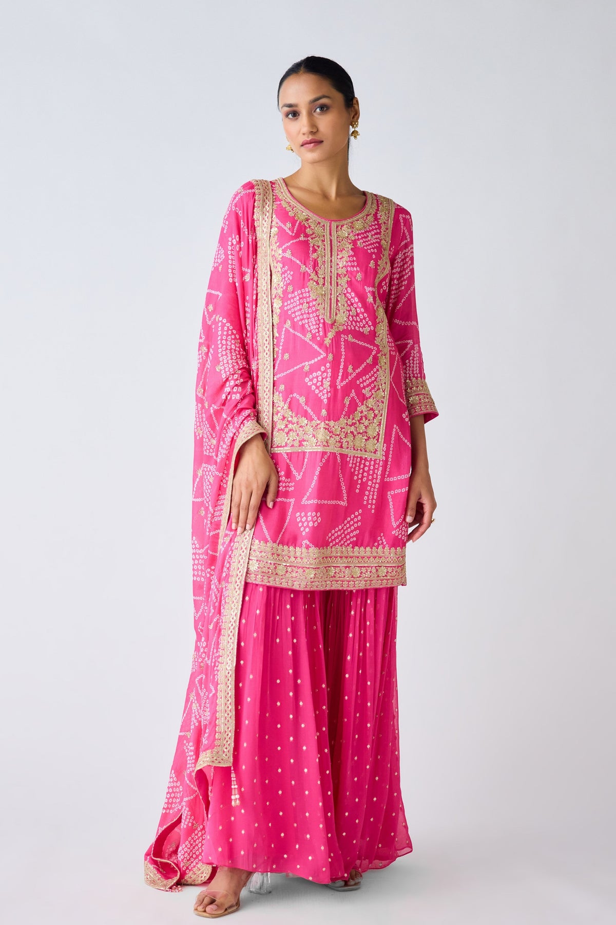 Rani Pink Embroidered Sharara Set