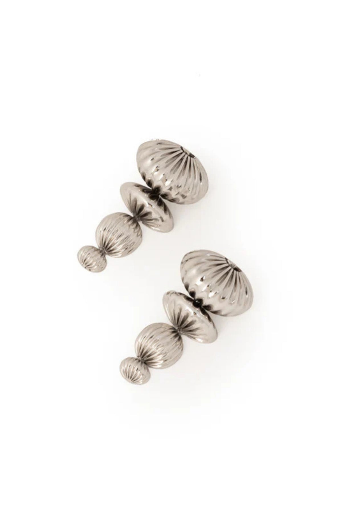 Maxima Scallop Danglers