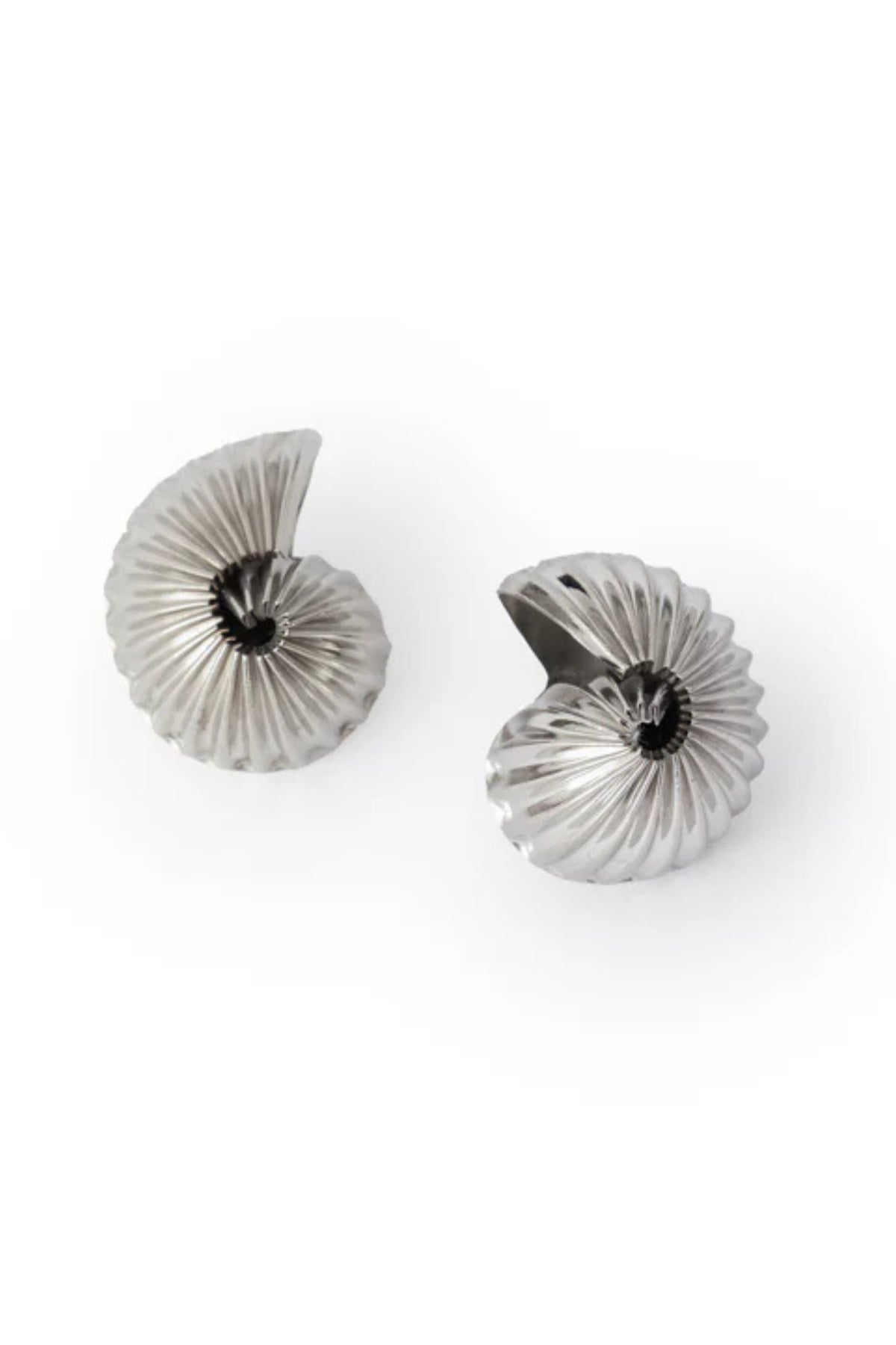 Maxima Shell Studs