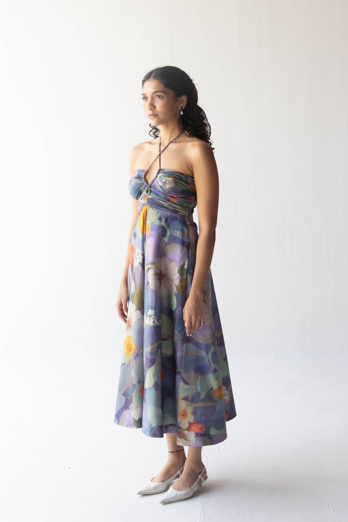 Blueberry Grove Dress