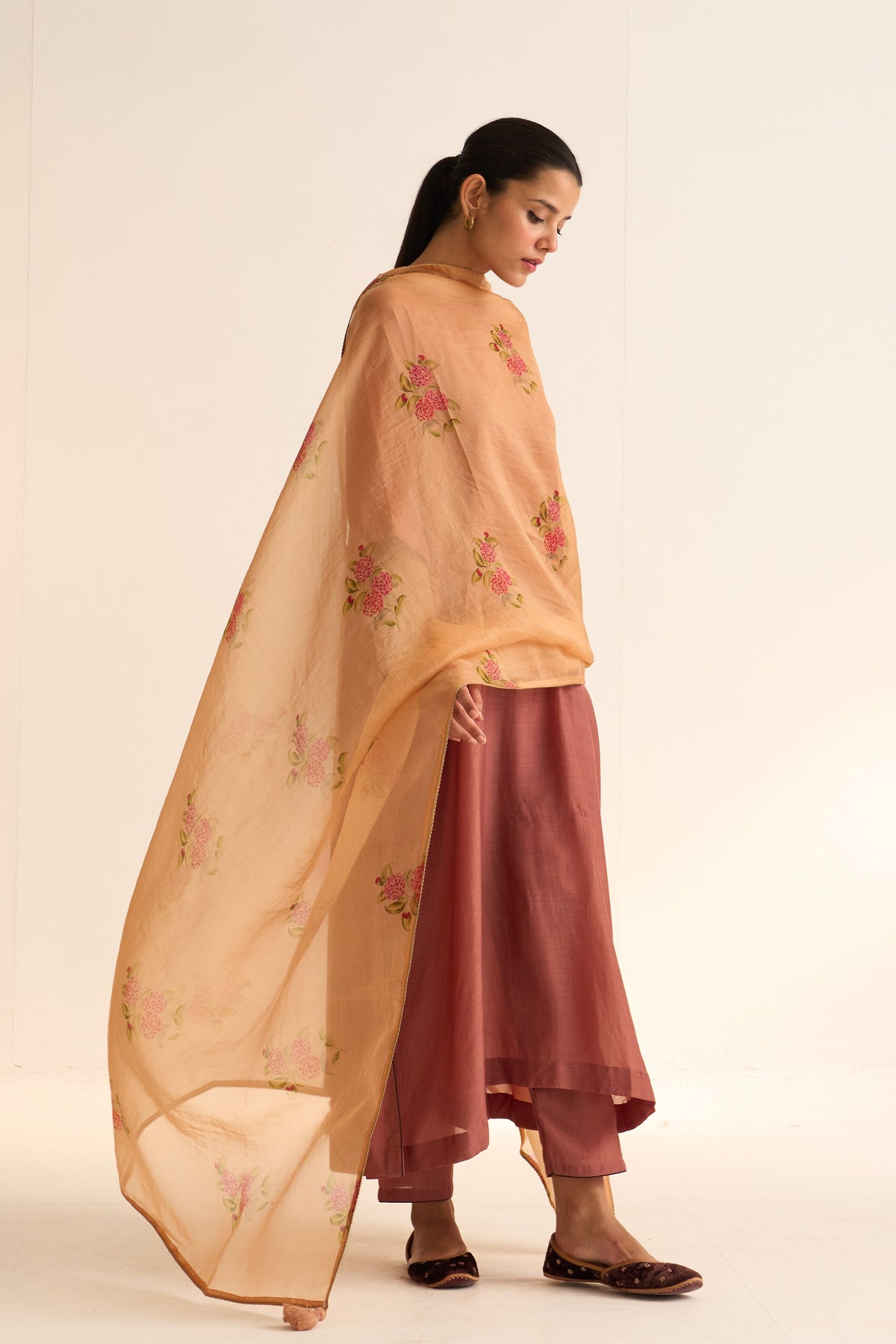 Evani Rust Organza Dupatta