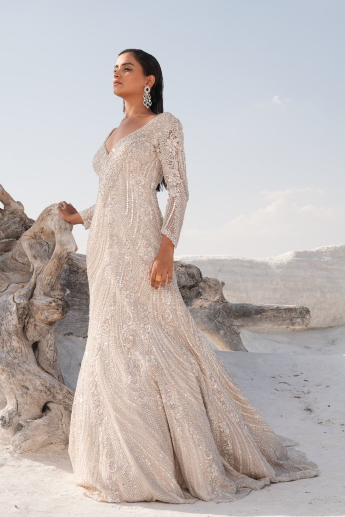 Ivory Fish Cut Embellished Gown