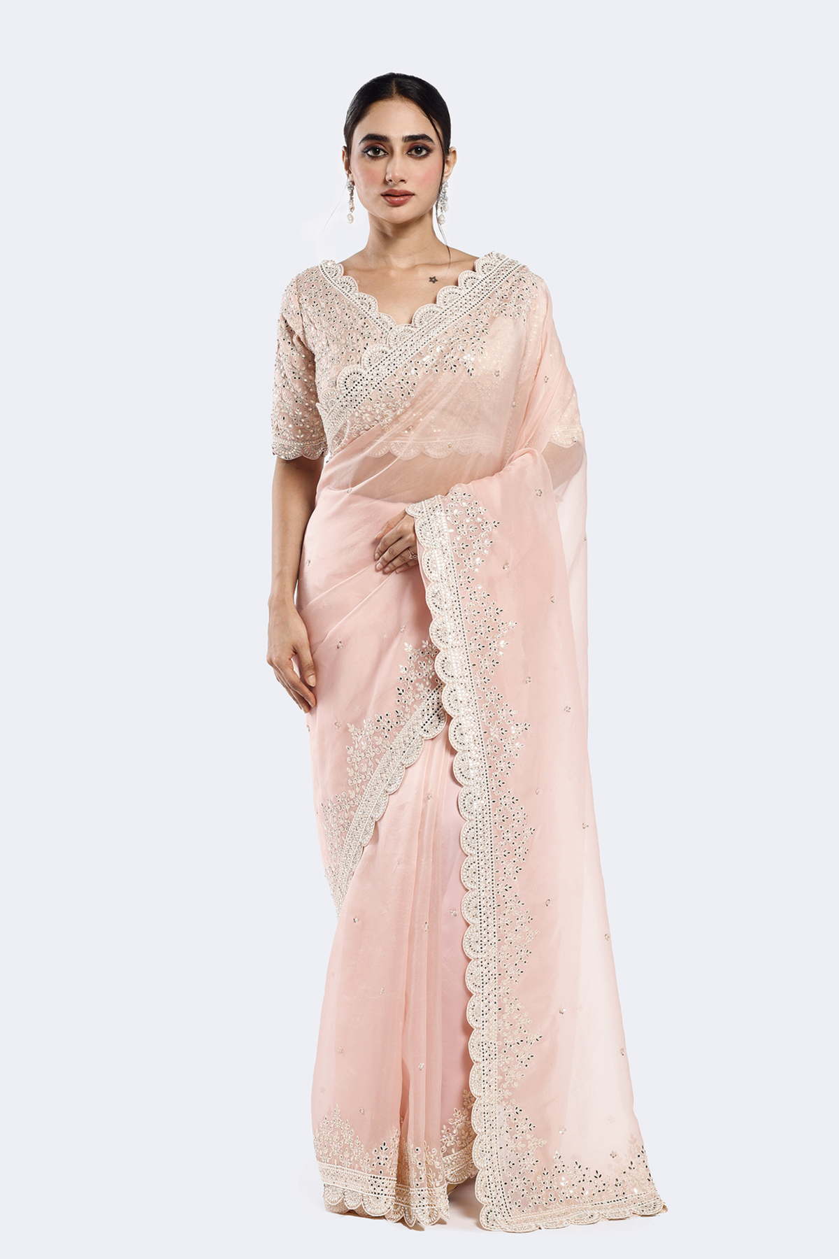 Sequinned Organza saree